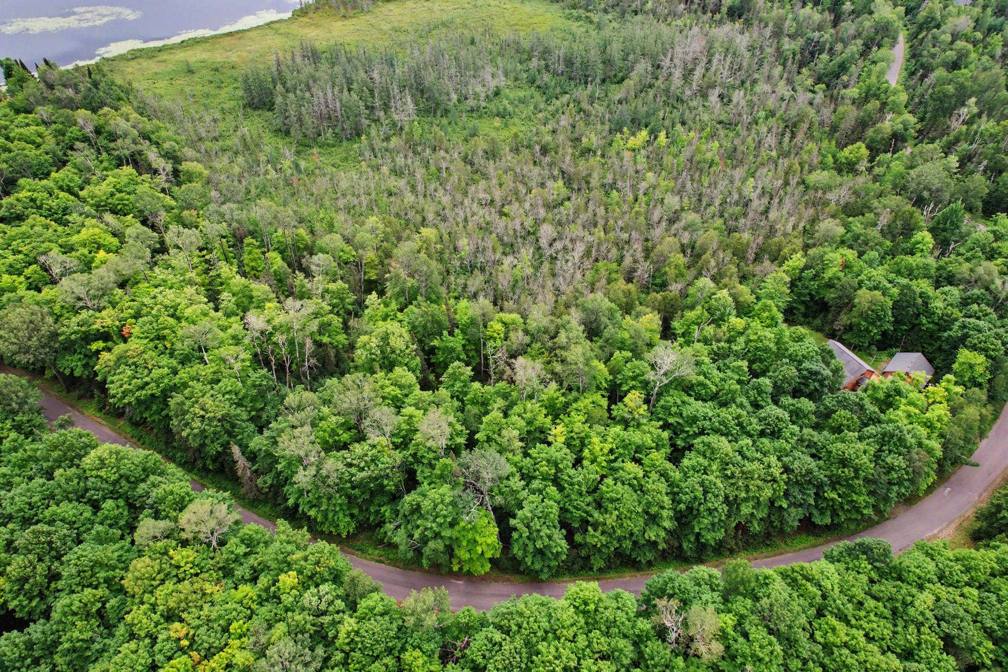 Morton Lake Property Lot off Bear Trl Photo 6
