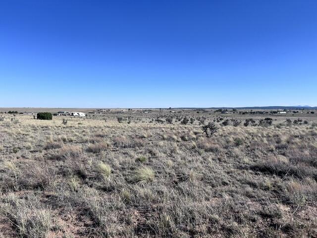 Photo 8 —  N Weimer Road