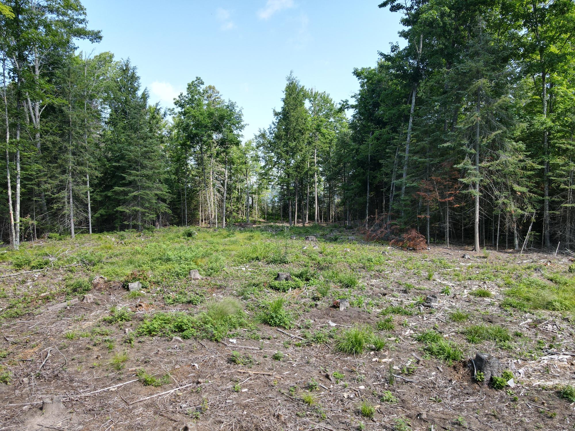 North Twin Lake Property Off Briggs Ln Photo 12