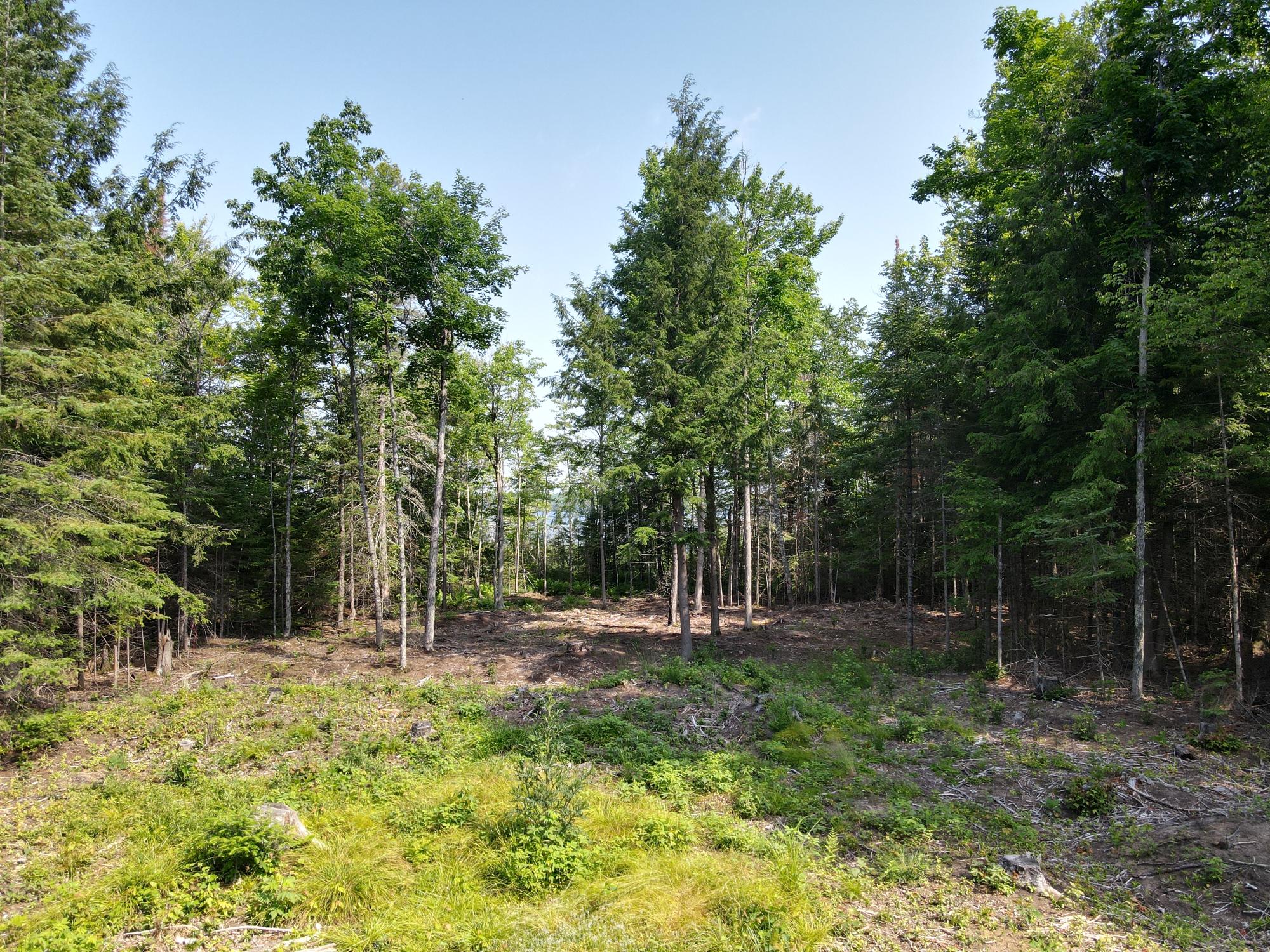 North Twin Lake Property Off Briggs Ln Photo 13