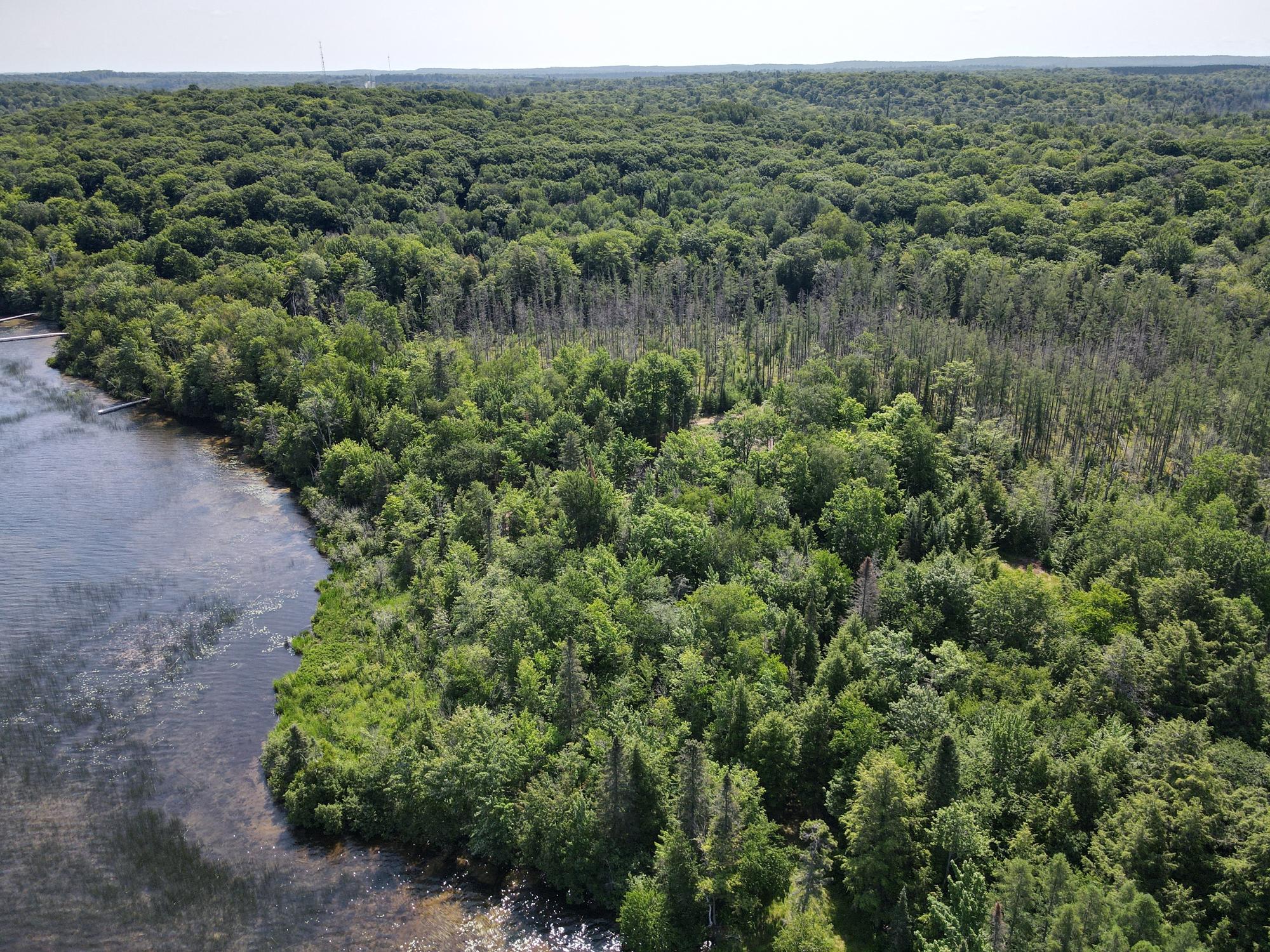 North Twin Lake Property Off Briggs Ln Photo 17