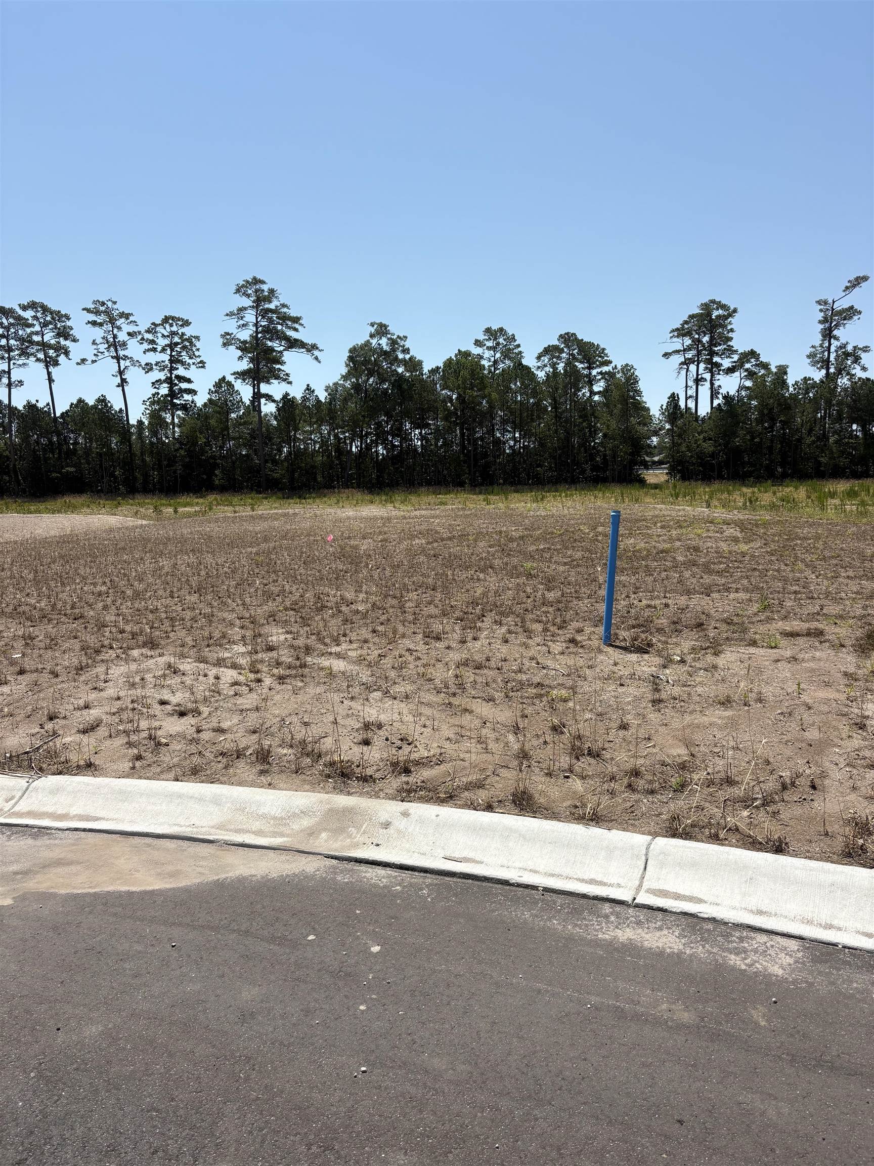 459 Pompano Court