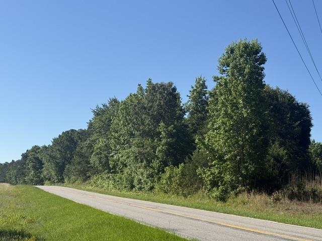 2616800 | Photo 2