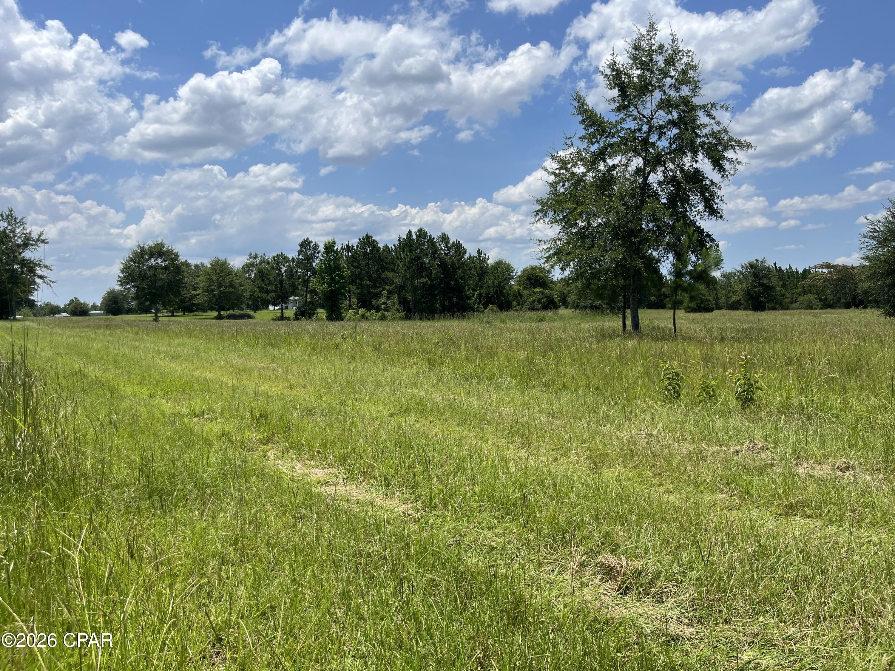 2nd image of 00 Gotcha Rd, Marianna, FL 32448 | MLS# 792228