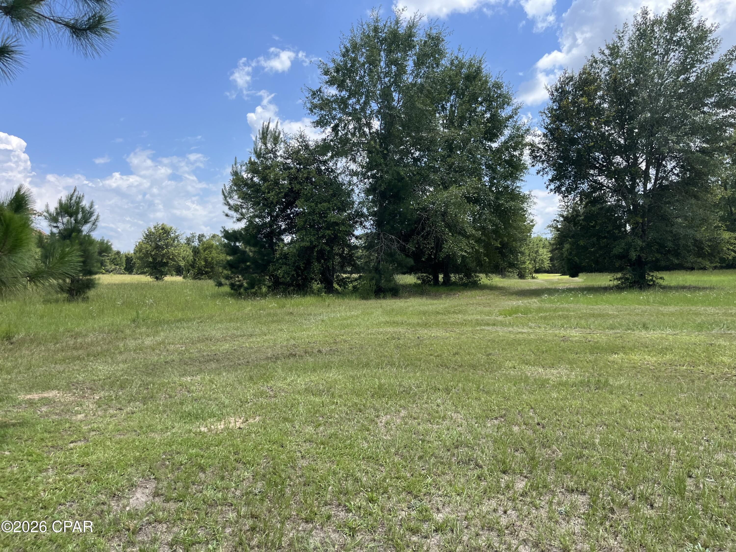 5th image of 00 Gotcha Rd, Marianna, FL 32448 | MLS# 792228
