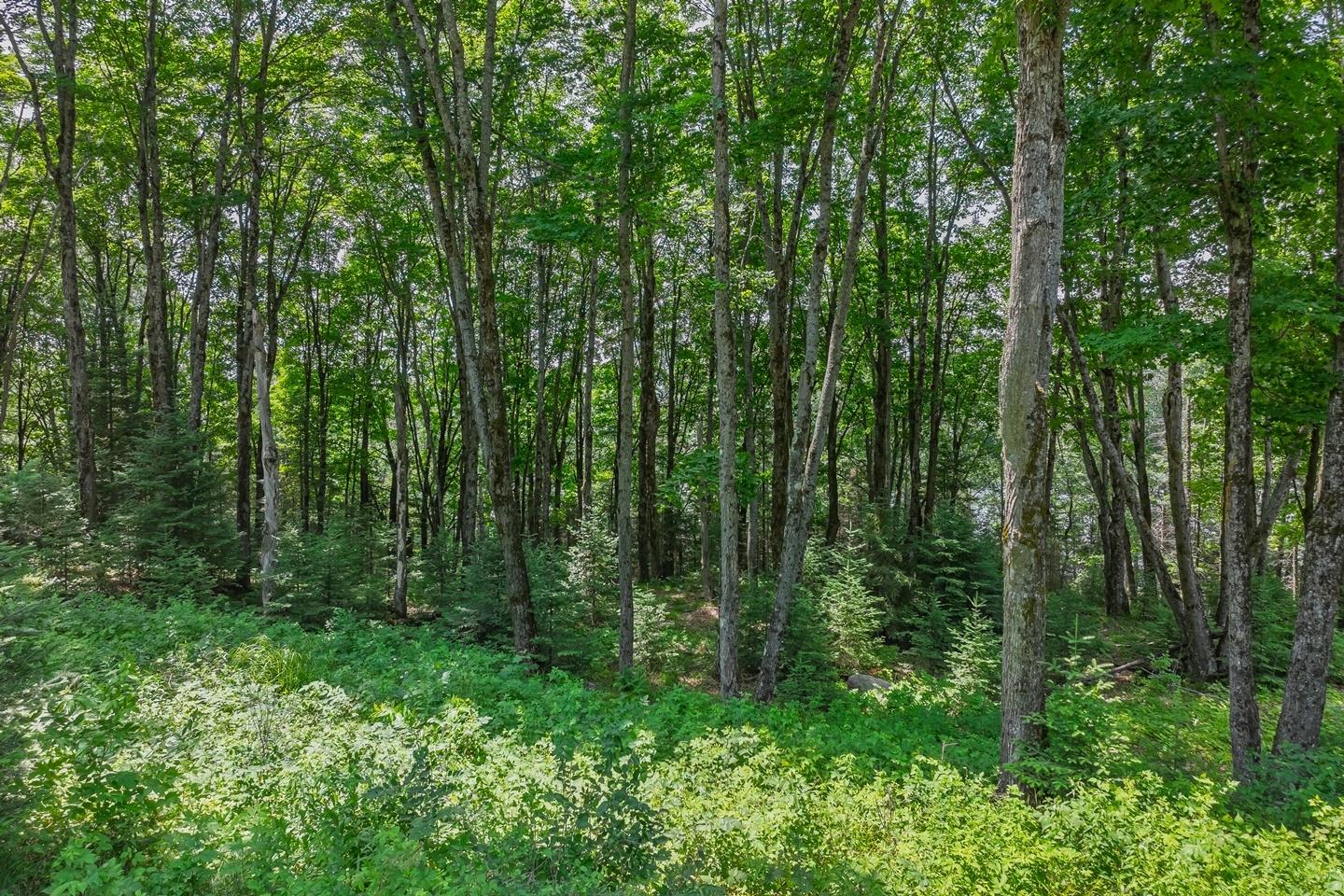 Little Presque Isle Property 8033 Bowie Rd Photo 75