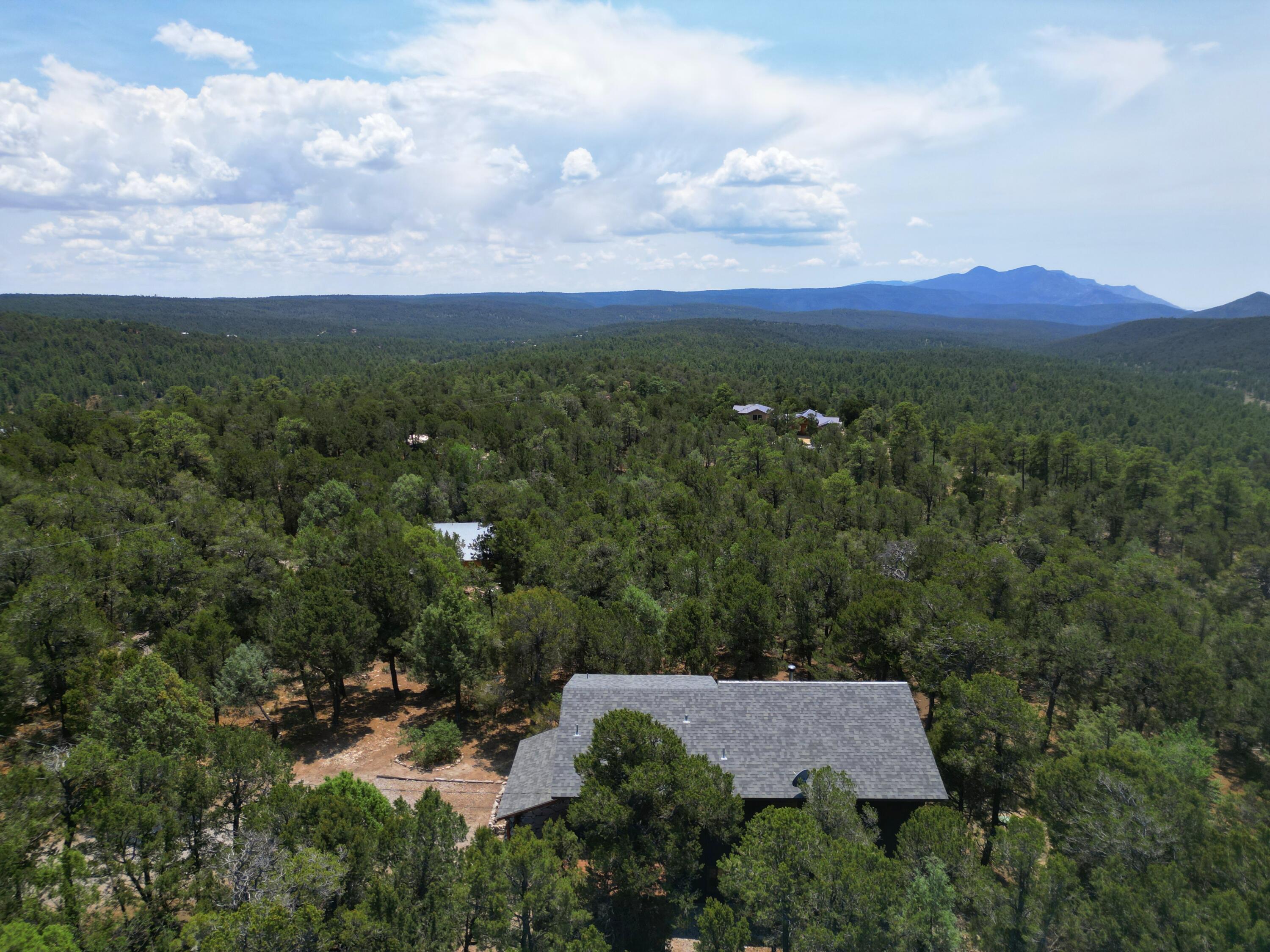25th image of 216 Raven Rd, Tijeras, NM 87059 | MLS# 1106764