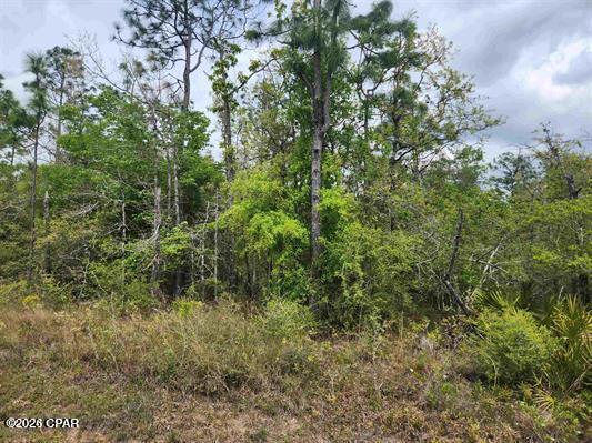 XXX NW Lake Center Road, Fountain, FL 32438