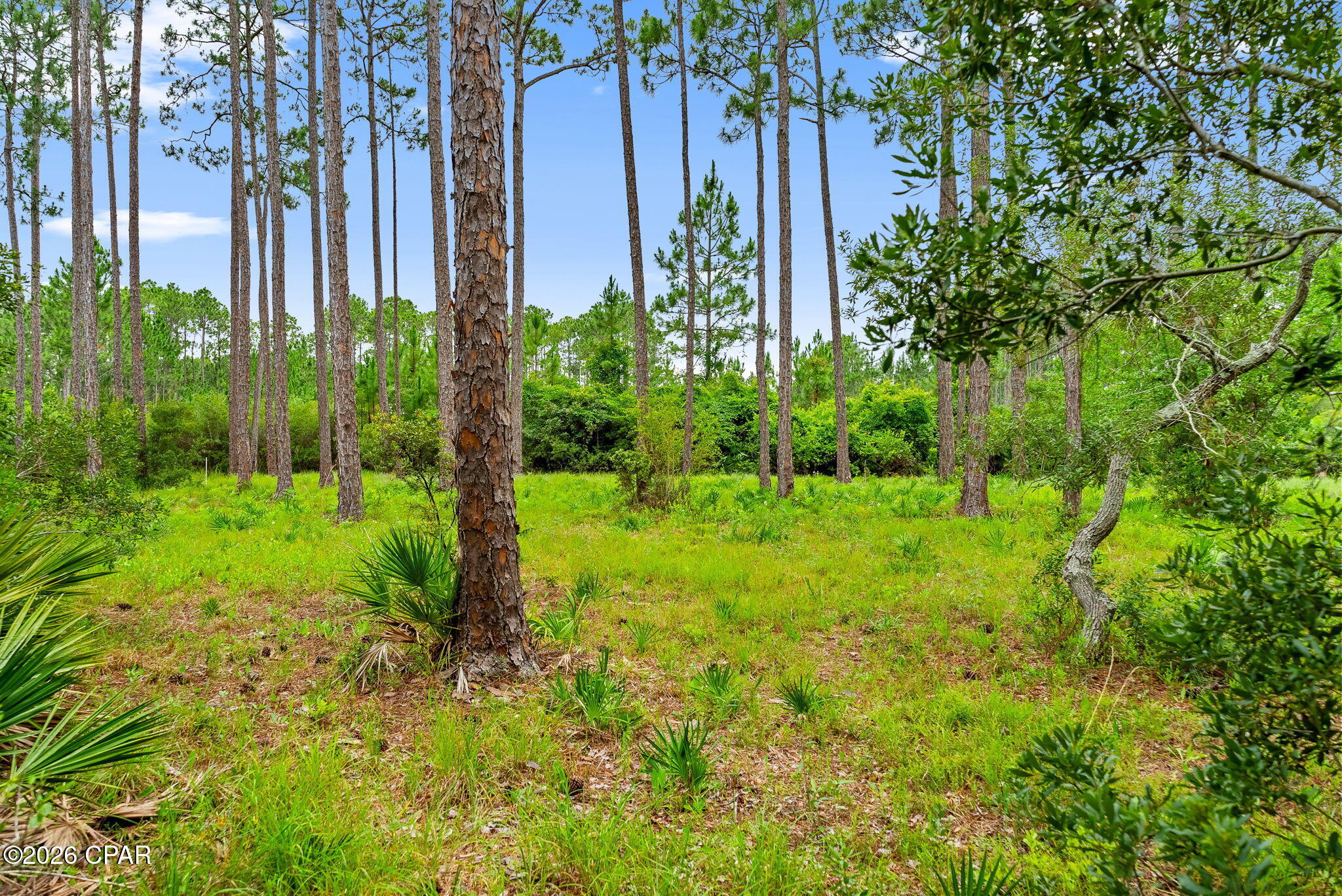 6307 River House Drive, Panama City Beach, FL 32413 thumbnail, photo 10 of 13