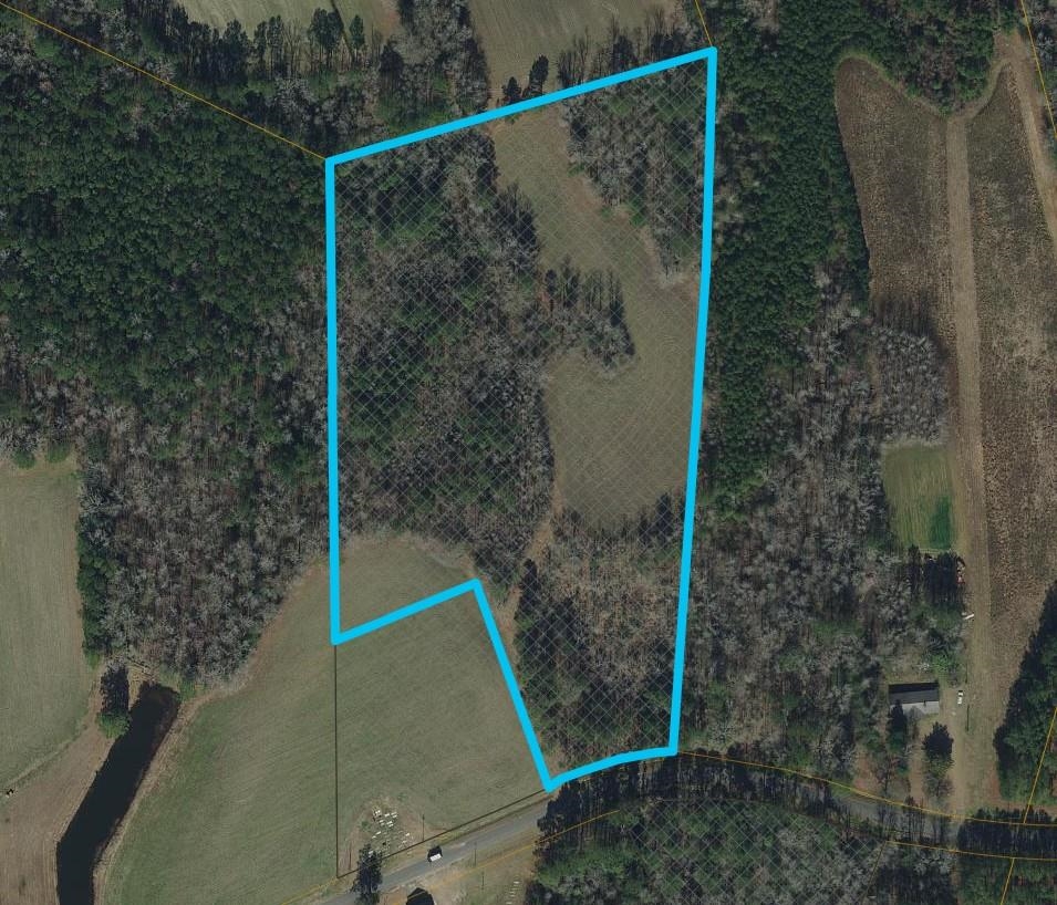 Homes for sale in Nichols, SC | Tbd Long Branch Swamp Rd, Nichols, SC 29581 | MLS# 2617174