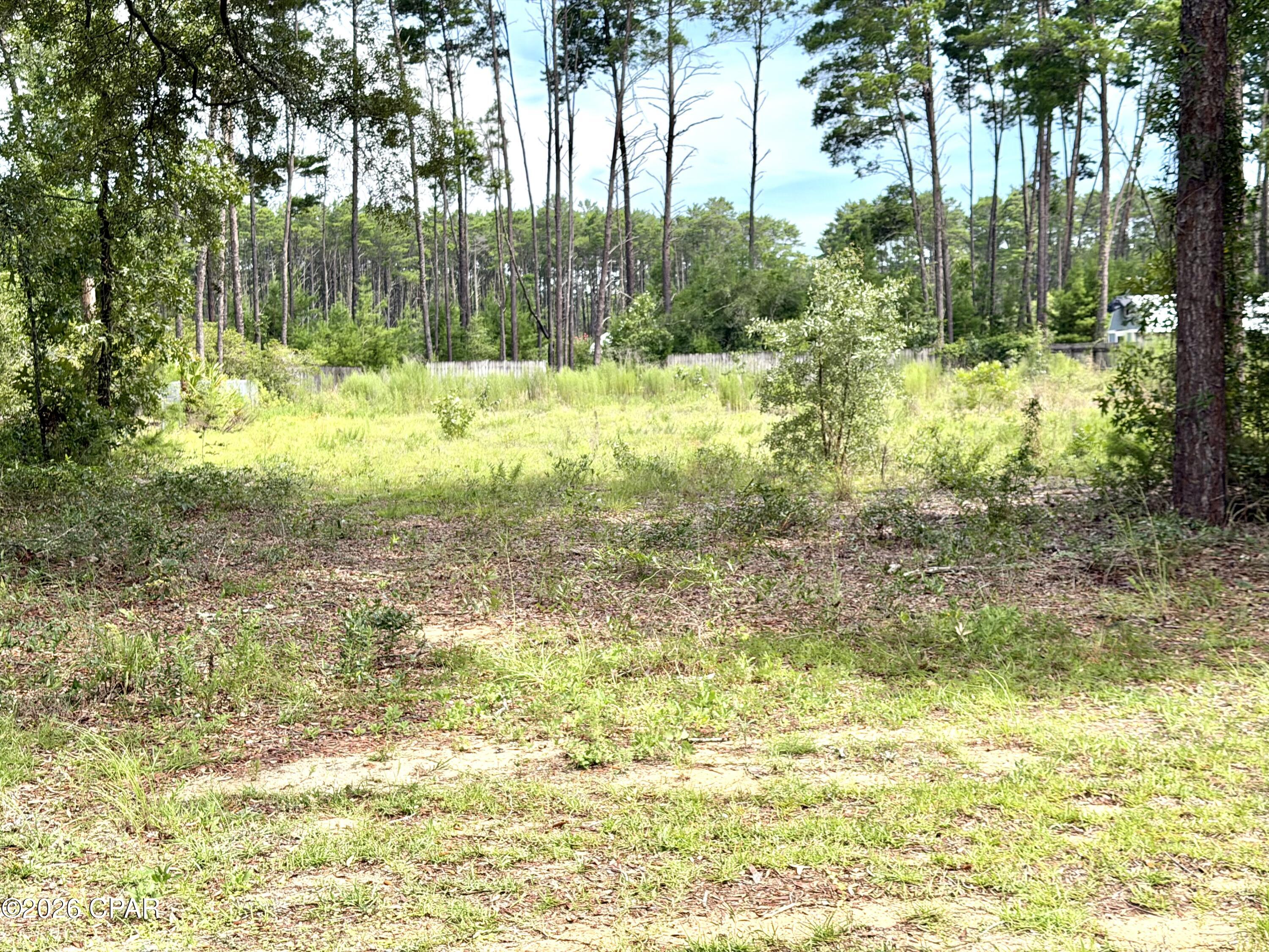 Homes for sale in Freeport, FL | 0 Co Hwy 3280 Hwy, Freeport, FL 32439 | MLS# 792384