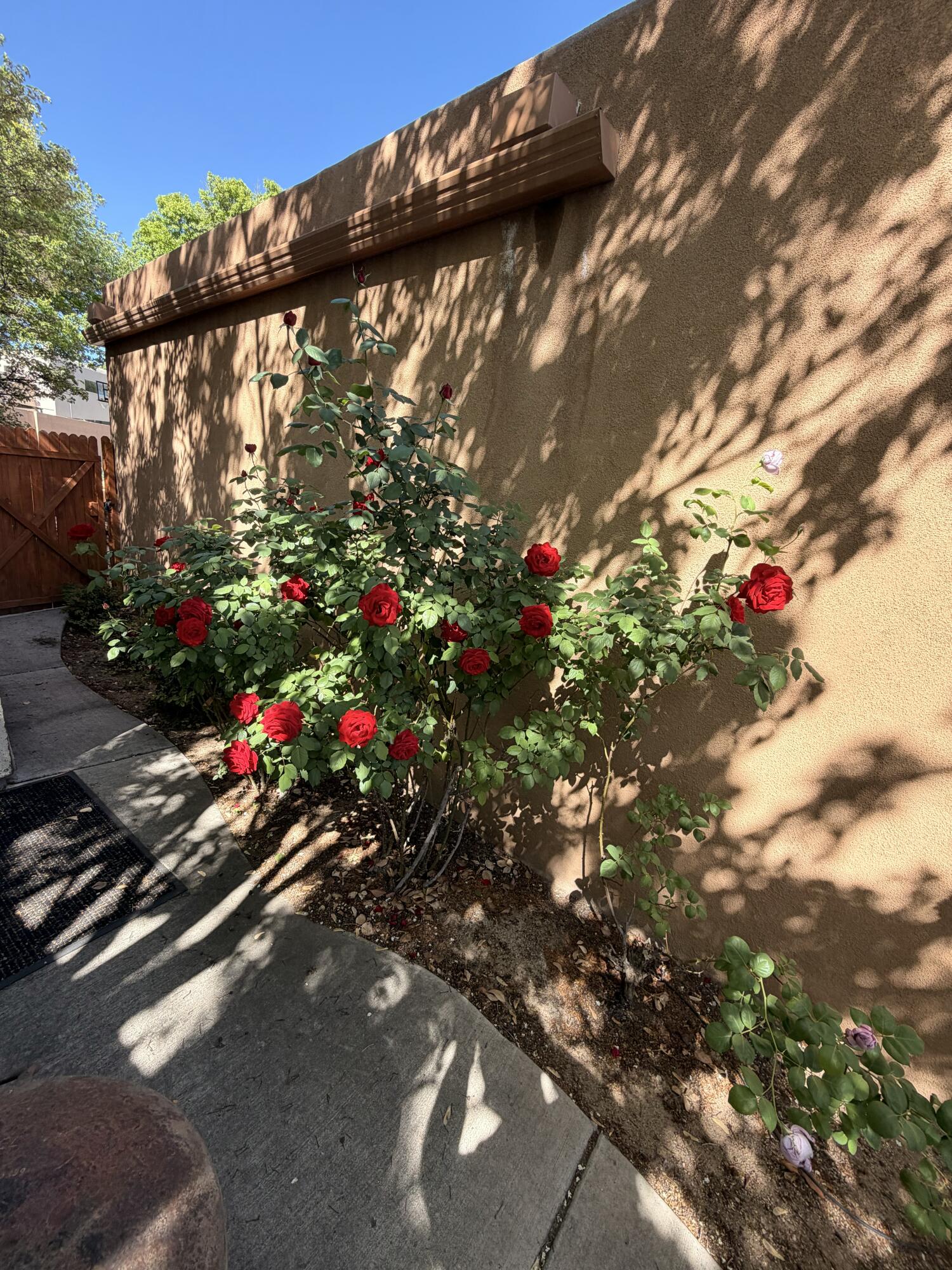 Photo 60 of Sale Pending at 5912 Canyon Crst Pl Ne, Albuquerque, NM 87111 | MLS# 1106923 | Listing updated on 2026-09-03