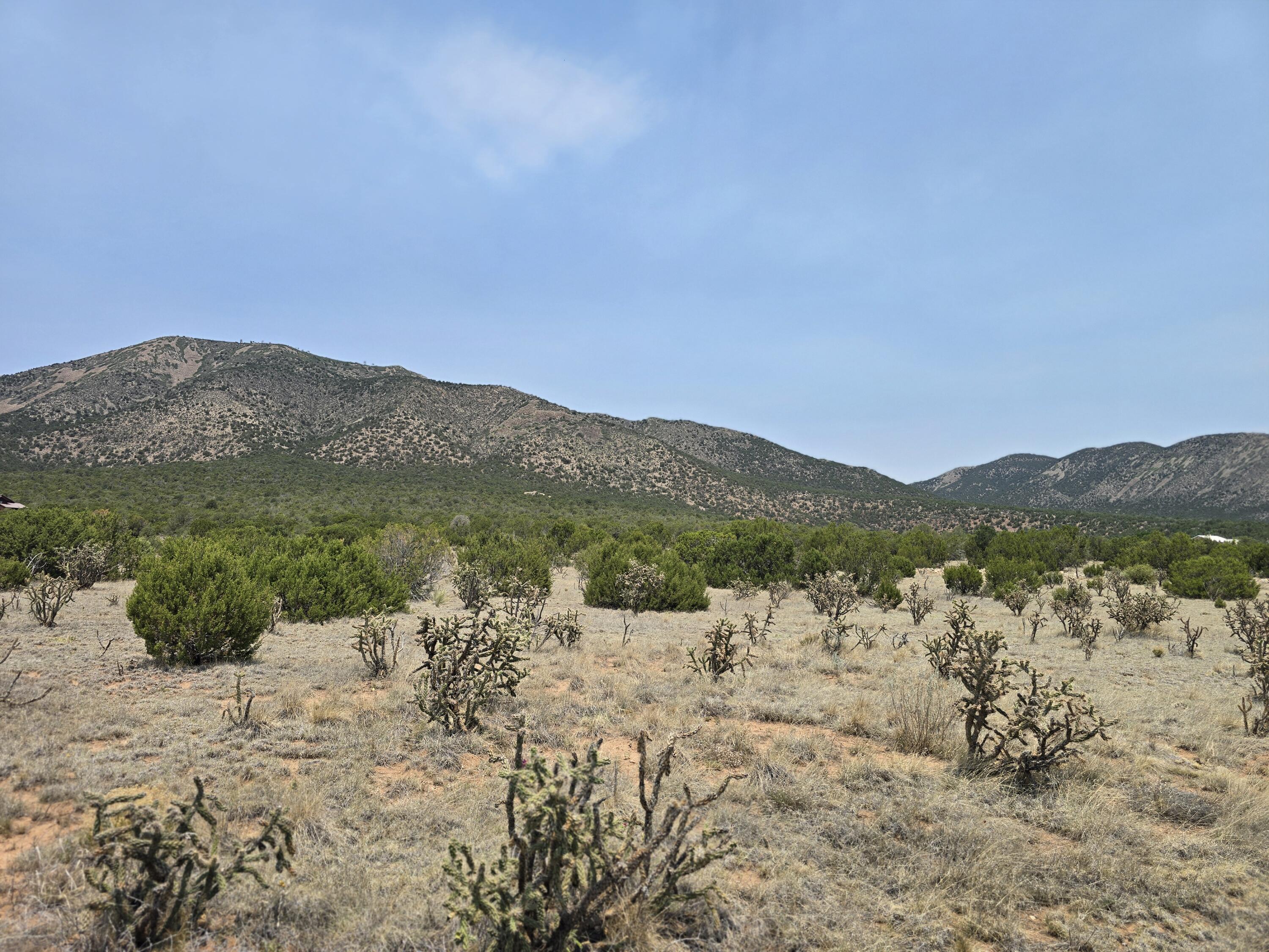 58 S Mountain Road Edgewood, NM 87015