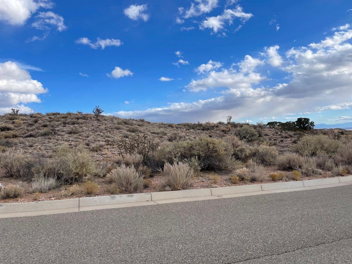 Photo 11 — 1712 Meadows Point Pl NE