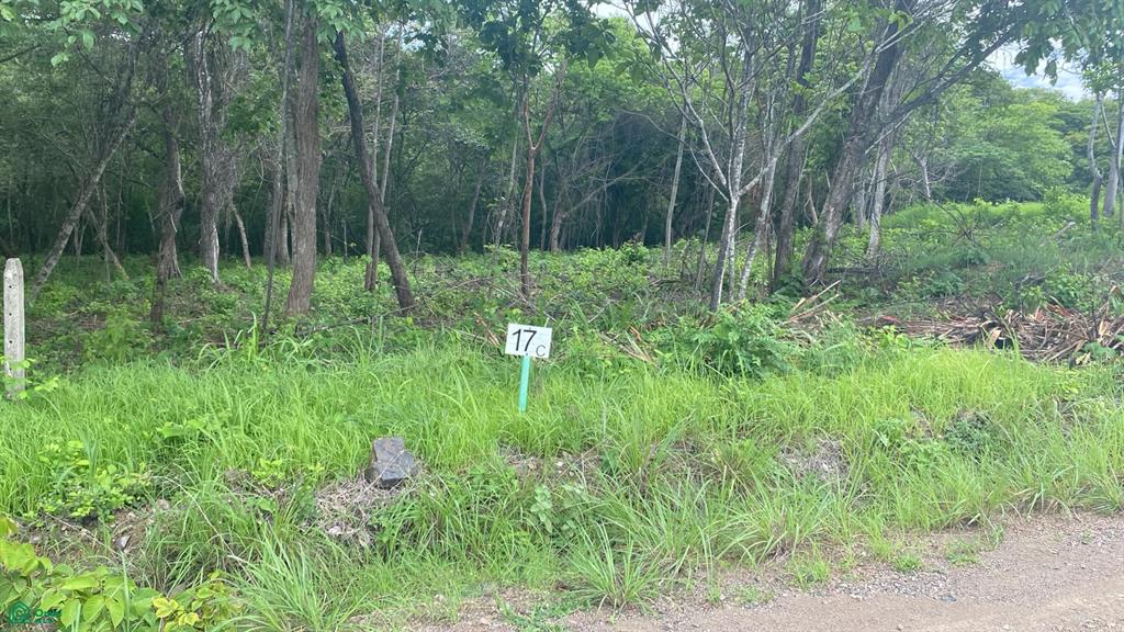  bed Land For Sale in Santa Cruz, Guanacaste - 1