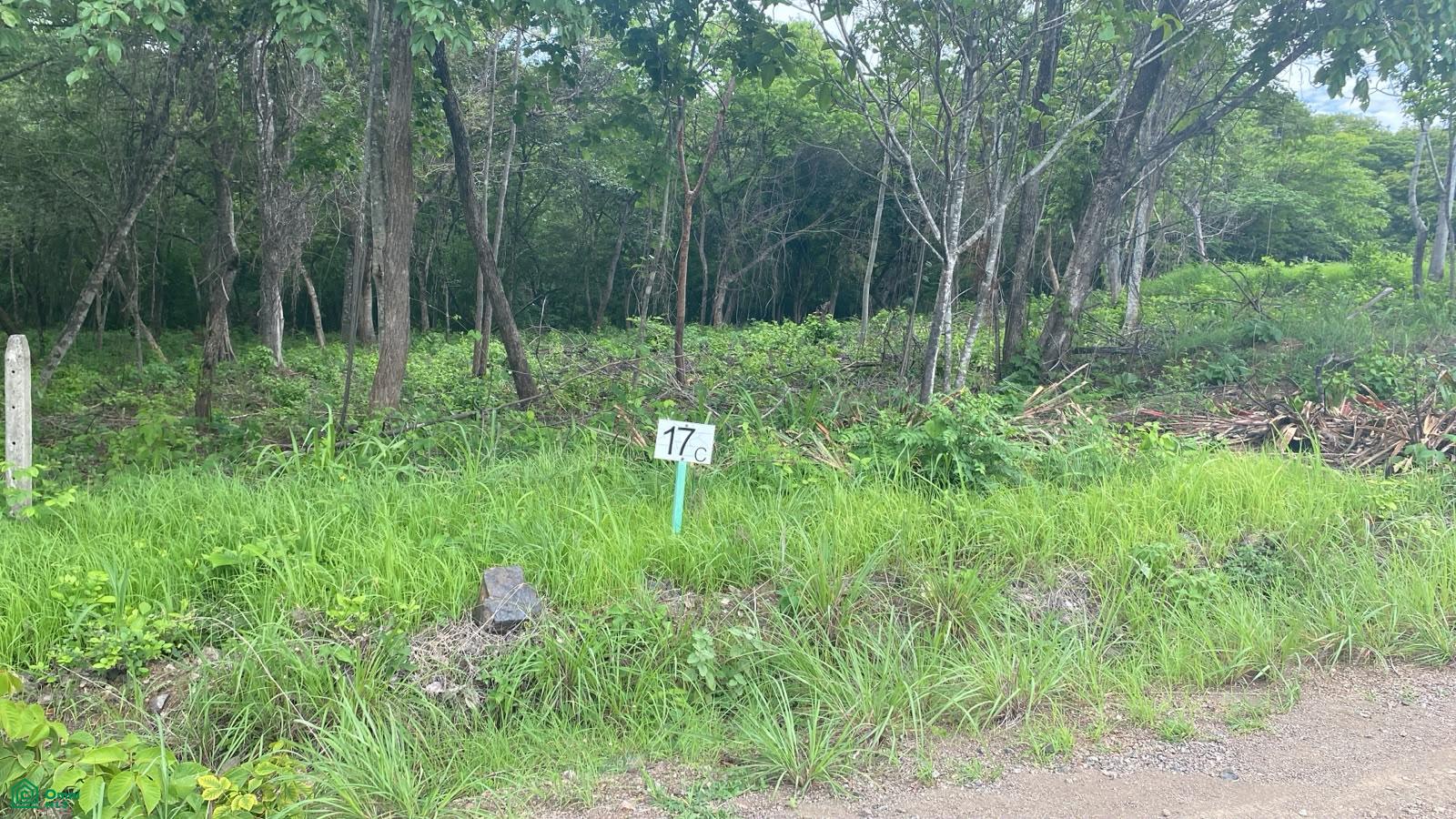 bed Land For Sale in Santa Cruz, Guanacaste - 1