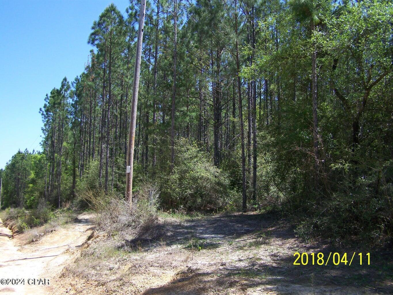 3rd image of 00 Noland Pond Rd, Alford, FL 32420 | MLS# 792501