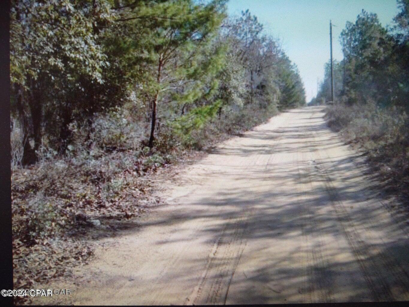 5th image of 00 Noland Pond Rd, Alford, FL 32420 | MLS# 792501