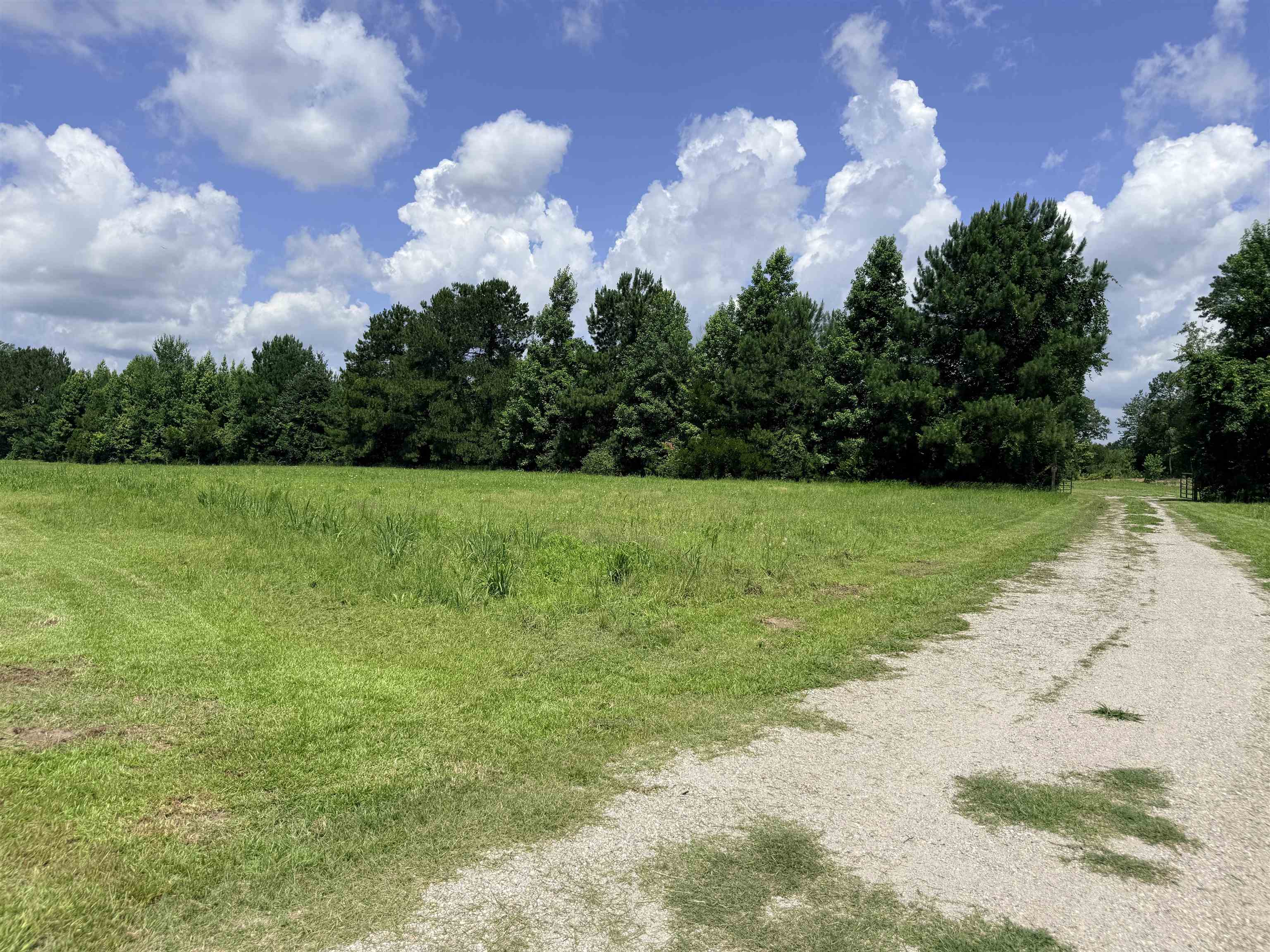 Homes for sale in Green Sea, SC | 1991 Church Rd, Green Sea, SC 29545 | MLS# 2617388