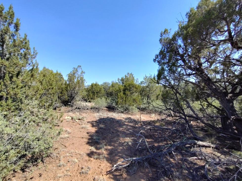 Photo 5 of Sale Pending at Apple Mountain Rd, Estancia, NM 87016 | MLS# 1107121 | Listing updated on 2026-09-04
