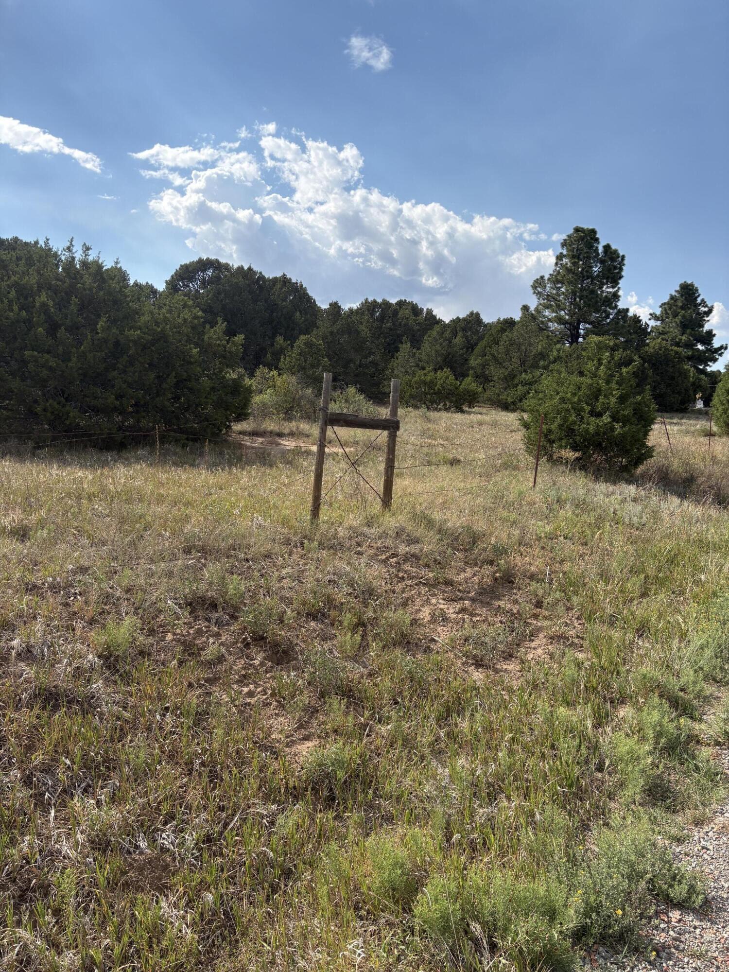 11 Eagle Lane Tijeras, NM 87059