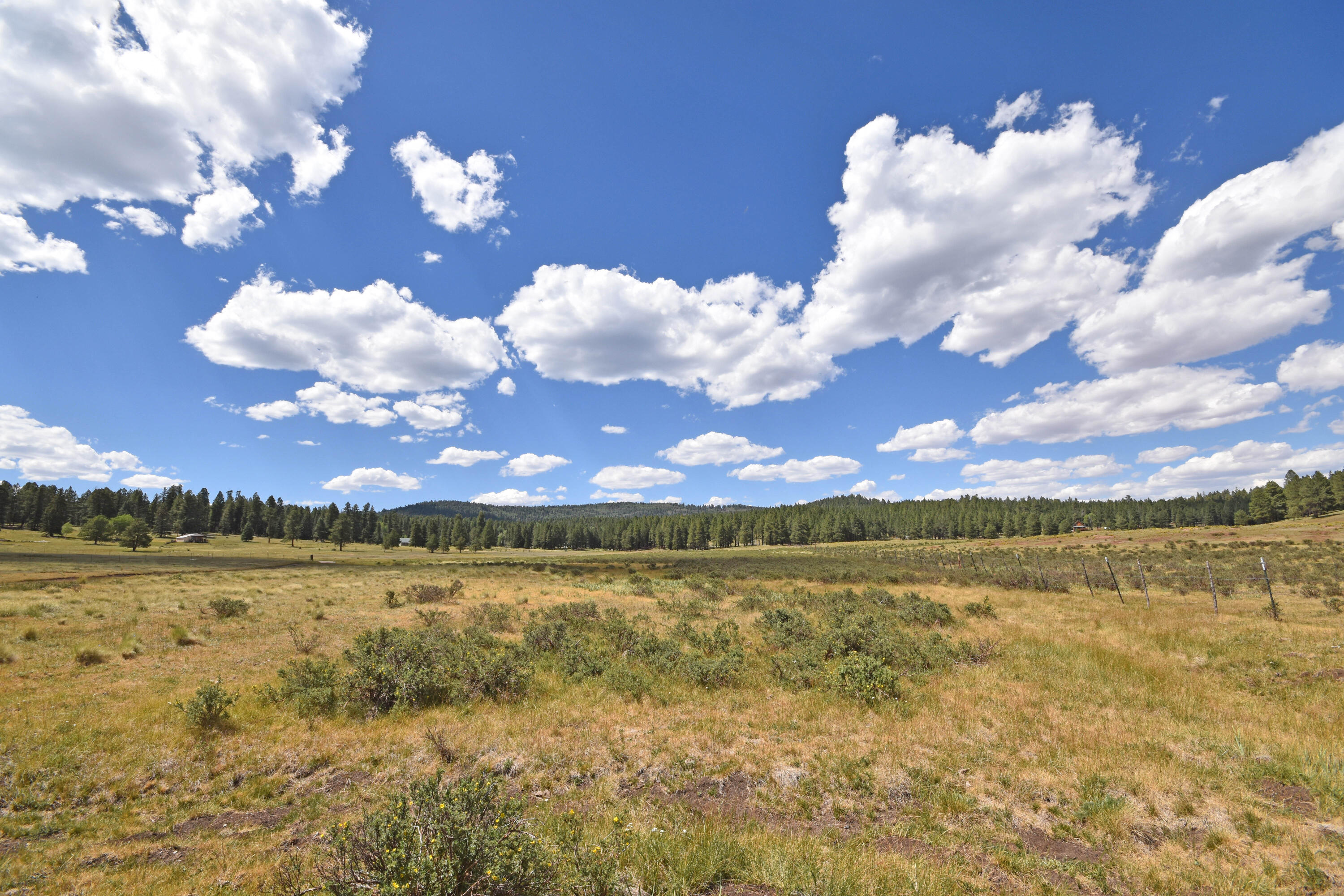 Homes for sale in Coyote, NM | Tract 4&a Wetherill Cabin Sites, Coyote, NM 87017 | MLS# 1107144