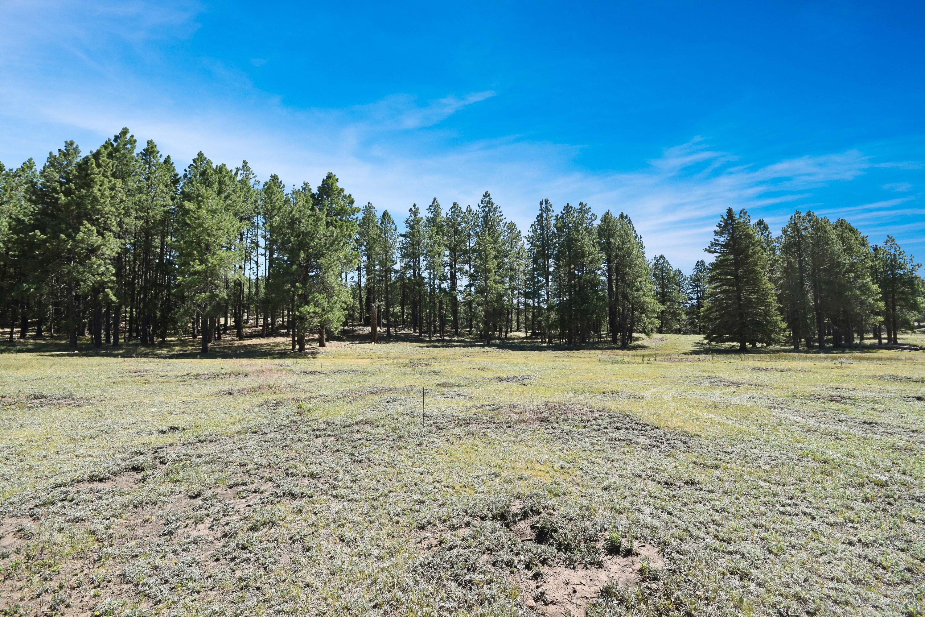 Homes for sale in Coyote, NM | Tract 4&A Wetherill Cabin Sites, Coyote, NM 87017 | MLS# 1107144