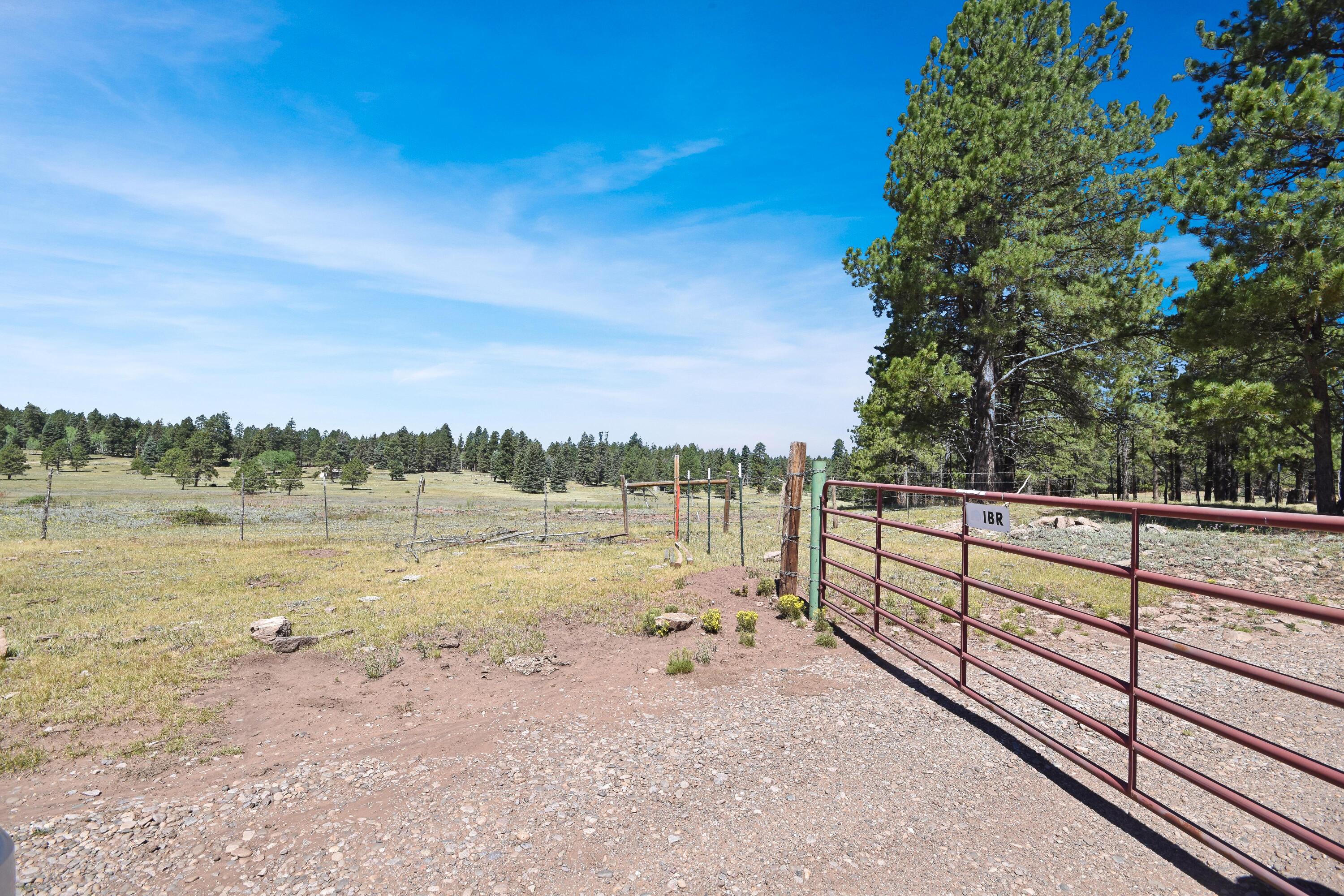 Homes for sale in Coyote, NM | Tract 4&A Wetherill Cabin Sites, Coyote, NM 87017 | MLS# 1107144
