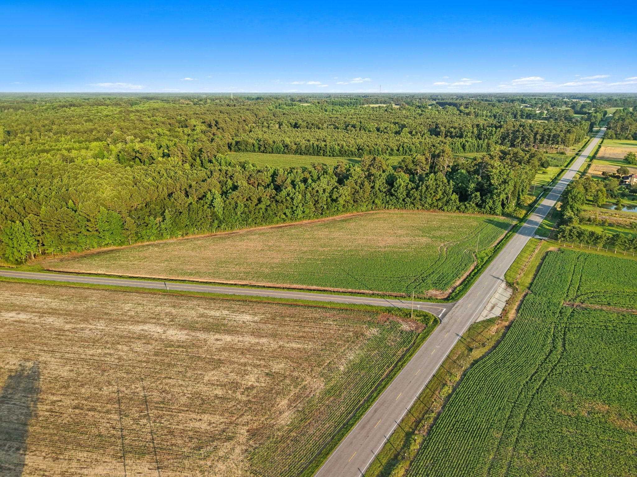 Homes for sale in Nichols, SC | Tbd Hwy 76, Nichols, SC 29581 | MLS# 2617457