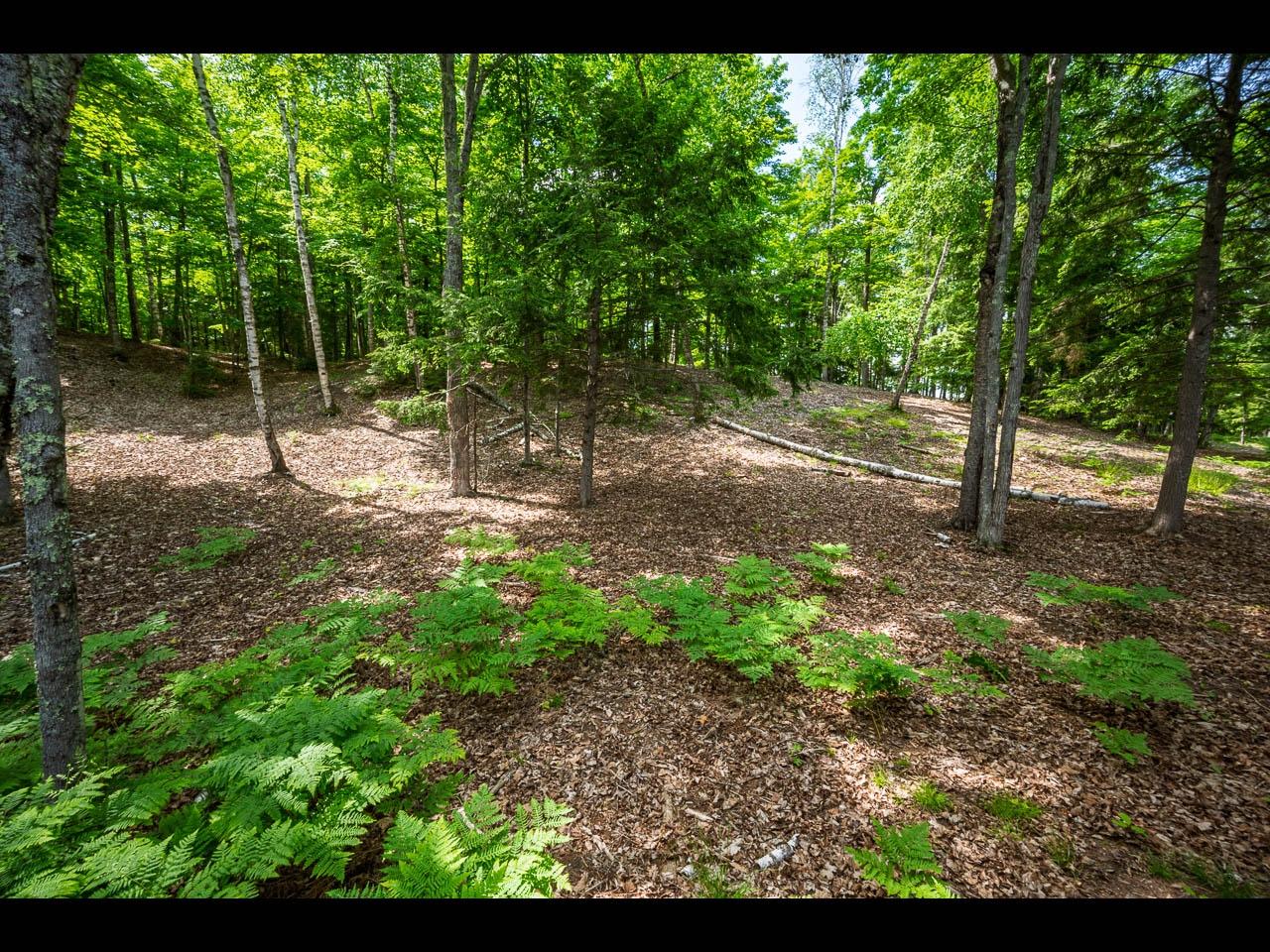 Clearwater Lake Property Lot 138 Clearwater Lake Trl Photo 13