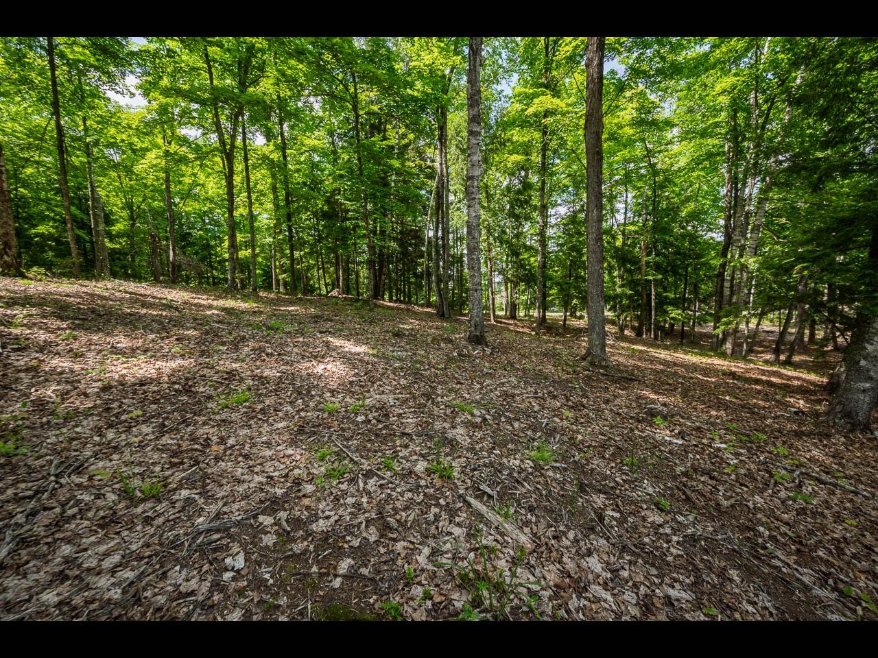 Clearwater Lake Property Lot 138 Clearwater Lake Trl Photo 15