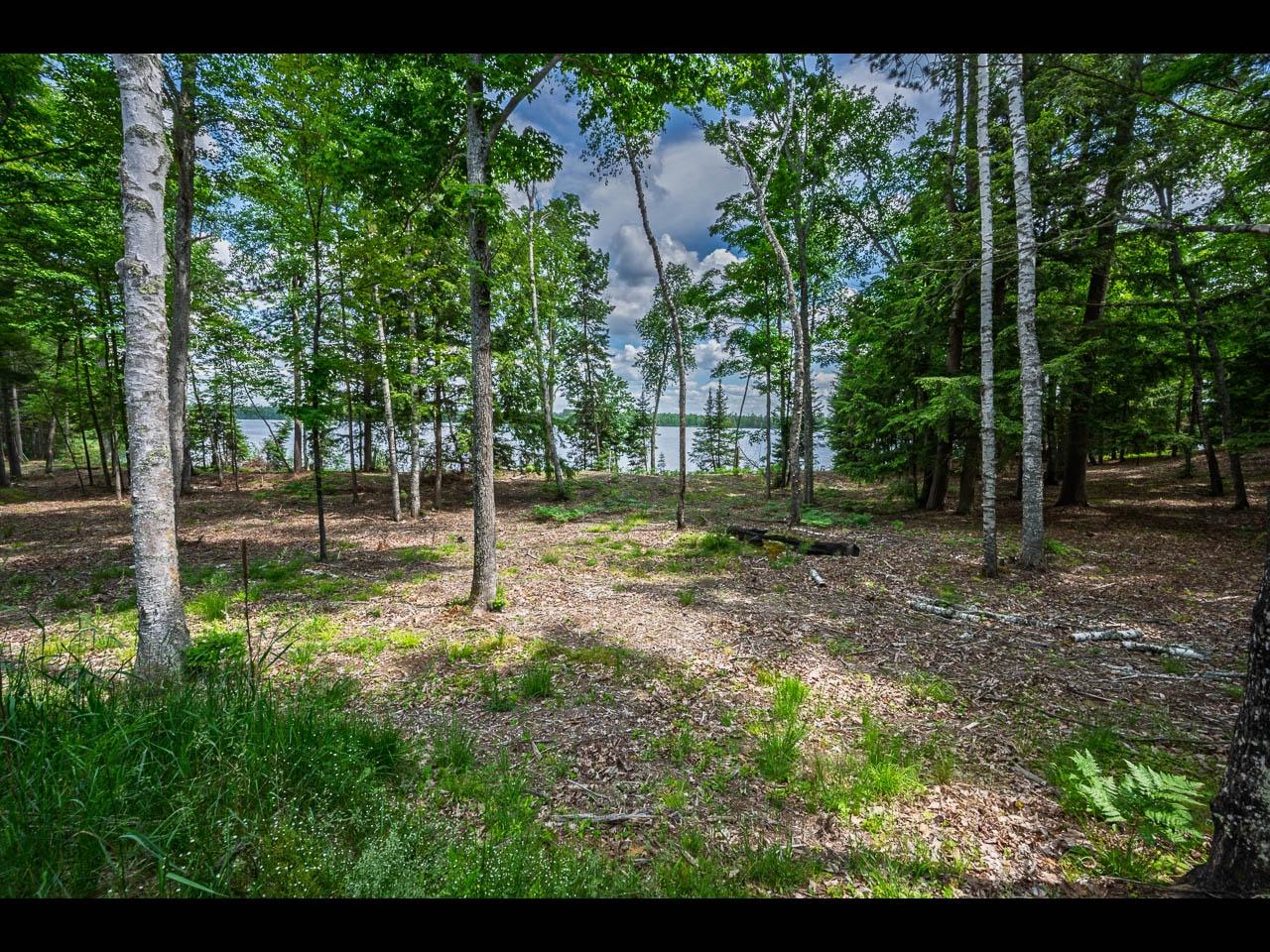 Clearwater Lake Property Lot 138 Clearwater Lake Trl Photo 4