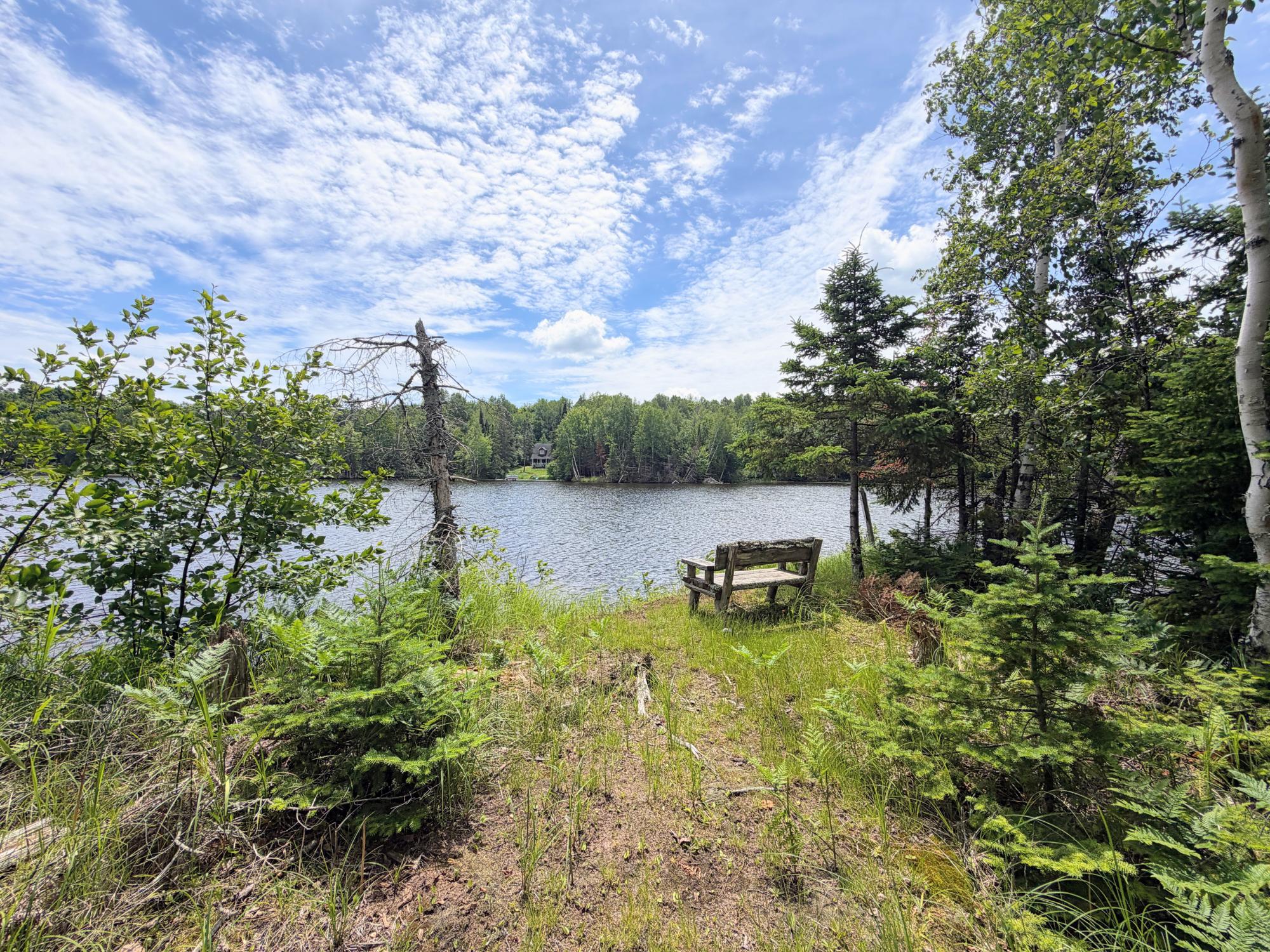 Musser Flowage Property N9847 Woodland Ln Photo 43