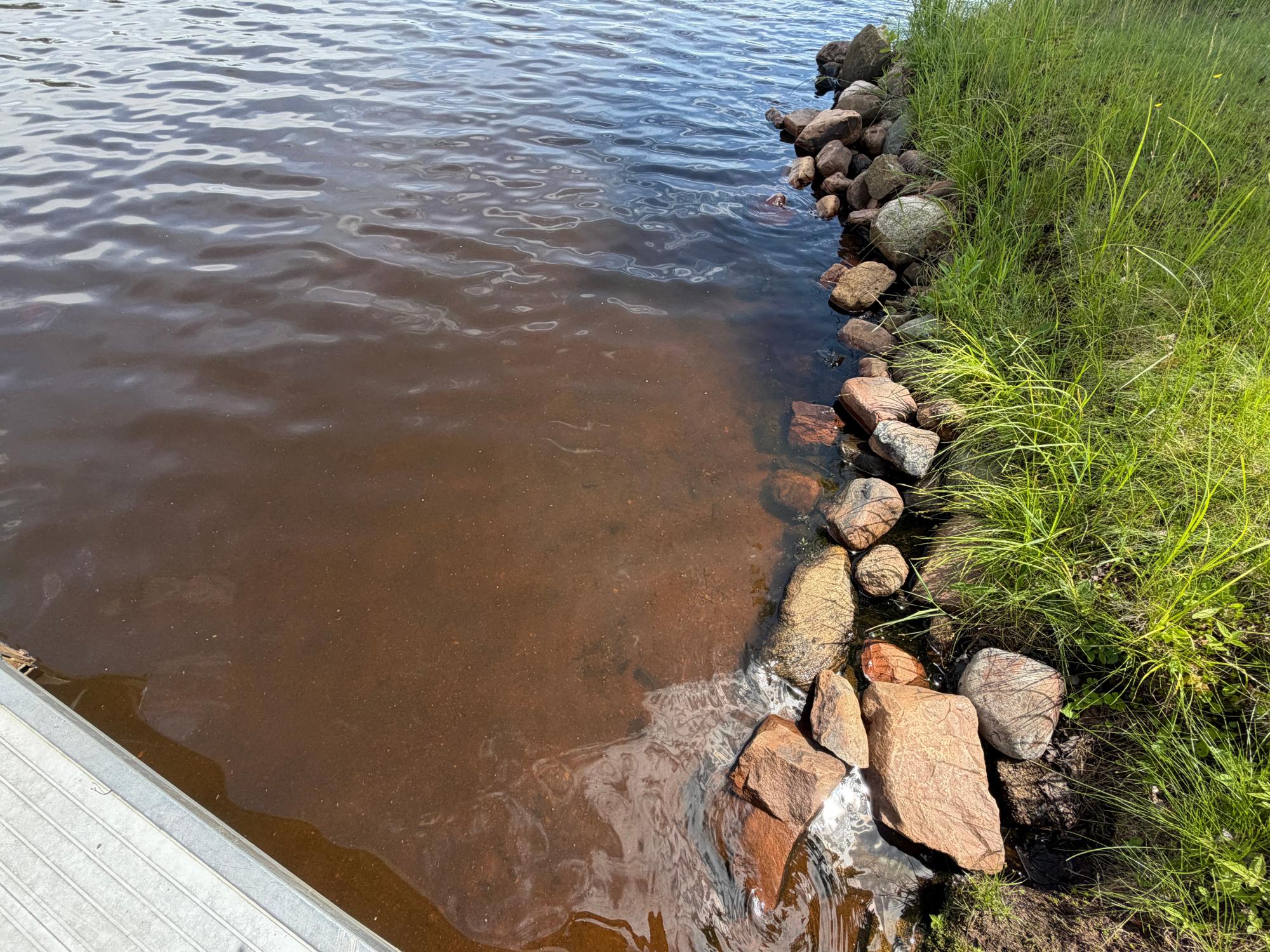 Musser Flowage Property N9847 Woodland Ln Photo 56
