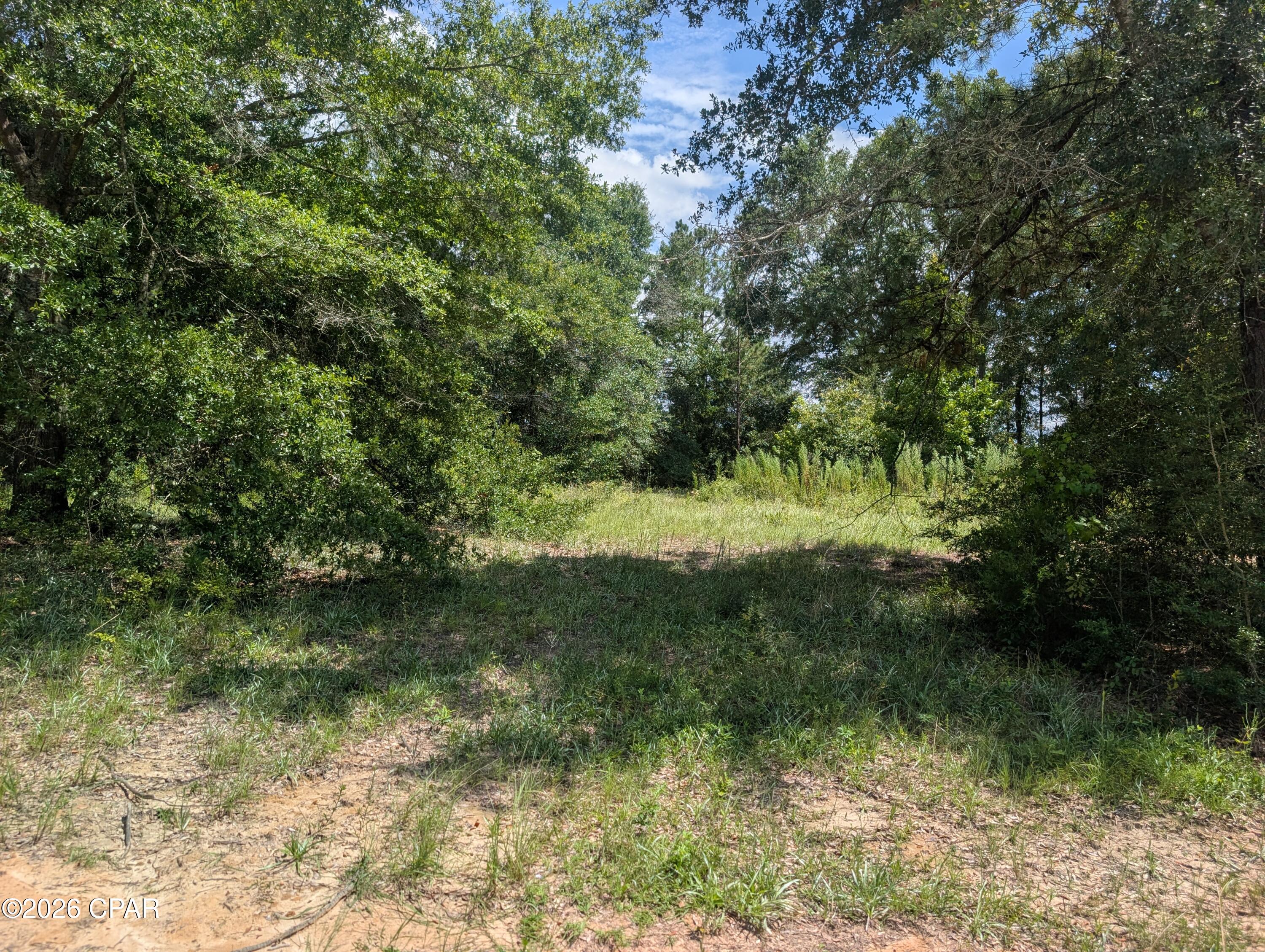 2nd image of 0 Marian Dr, Bonifay, FL 32425 | MLS# 792676