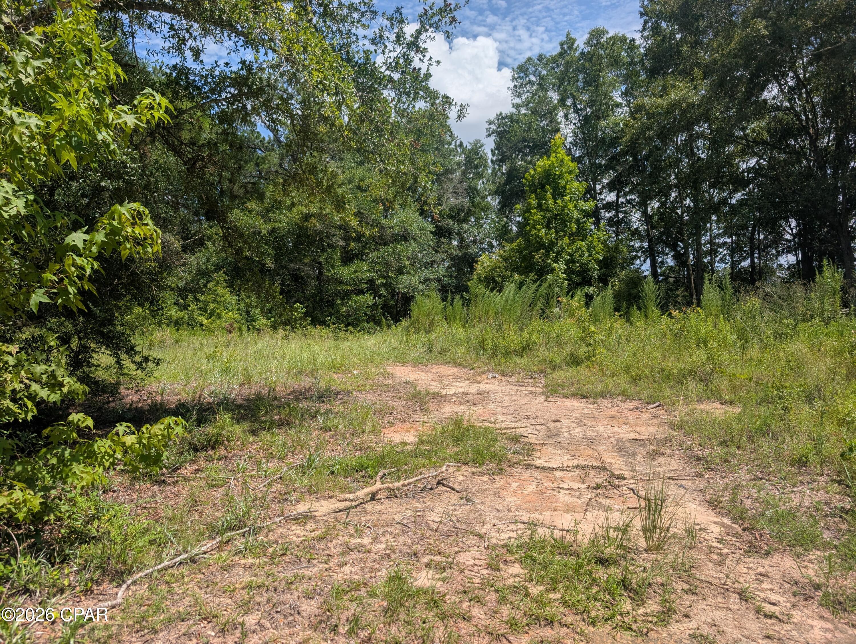 3rd image of 0 Marian Dr, Bonifay, FL 32425 | MLS# 792676