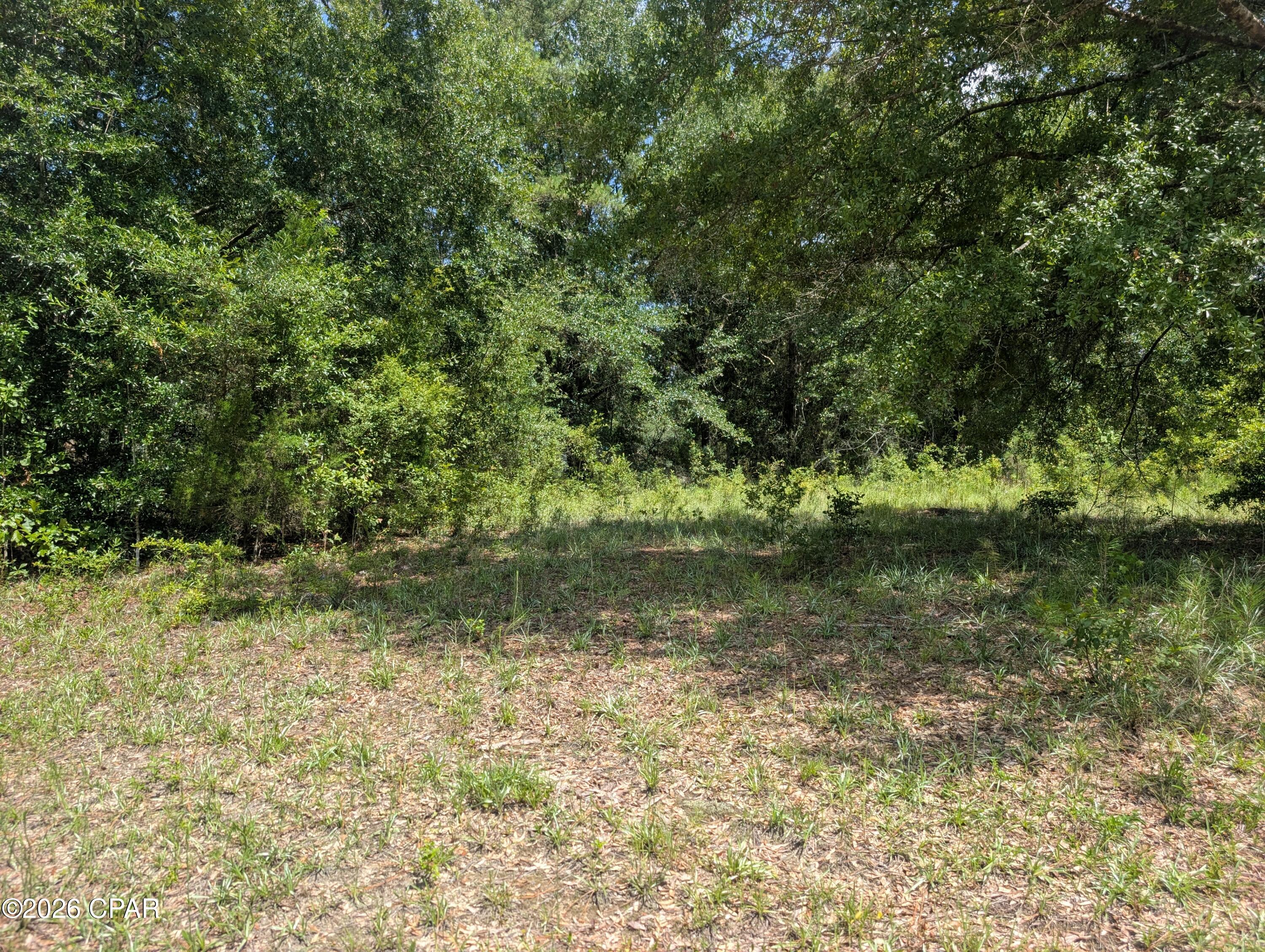 6th image of 0 Marian Dr, Bonifay, FL 32425 | MLS# 792676