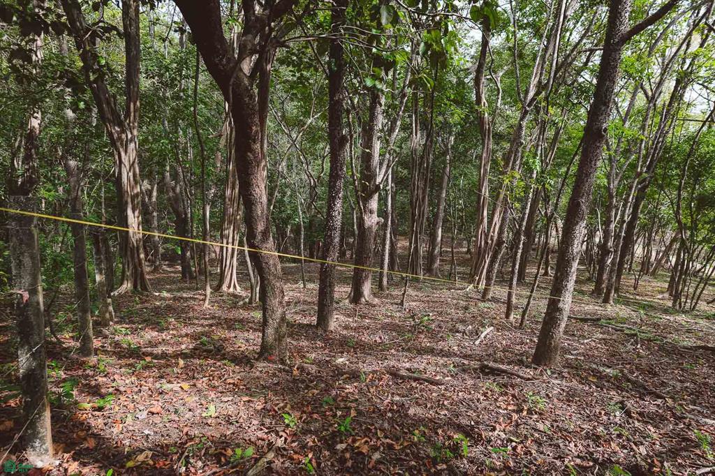  bed Land For Sale in Cuajiniquil, Guanacaste - 1