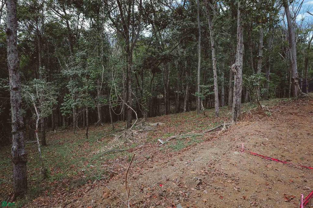  bed Land For Sale in Cuajiniquil, Guanacaste - 1