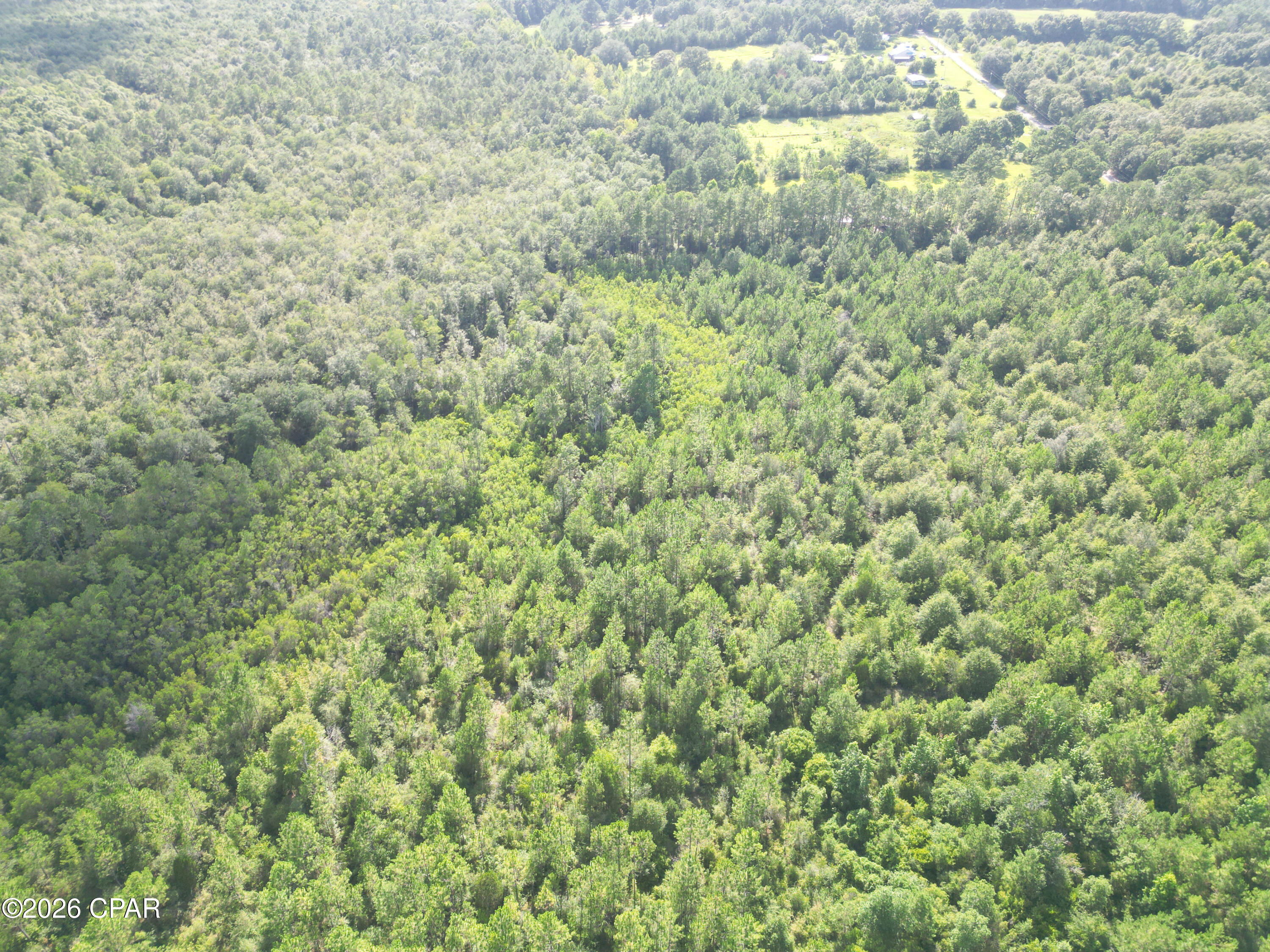 3rd image of 0007 Douglas Fry Rd, Bonifay, FL 32425 | MLS# 792818
