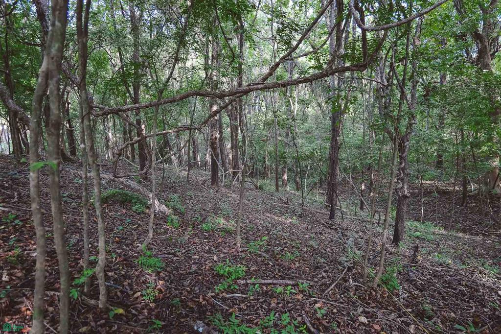  bed Land For Sale in Cuajiniquil, Guanacaste - 1