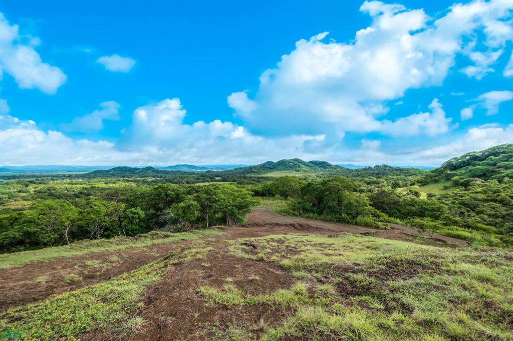 bed Land For Sale in Santa Cruz, Guanacaste - 1