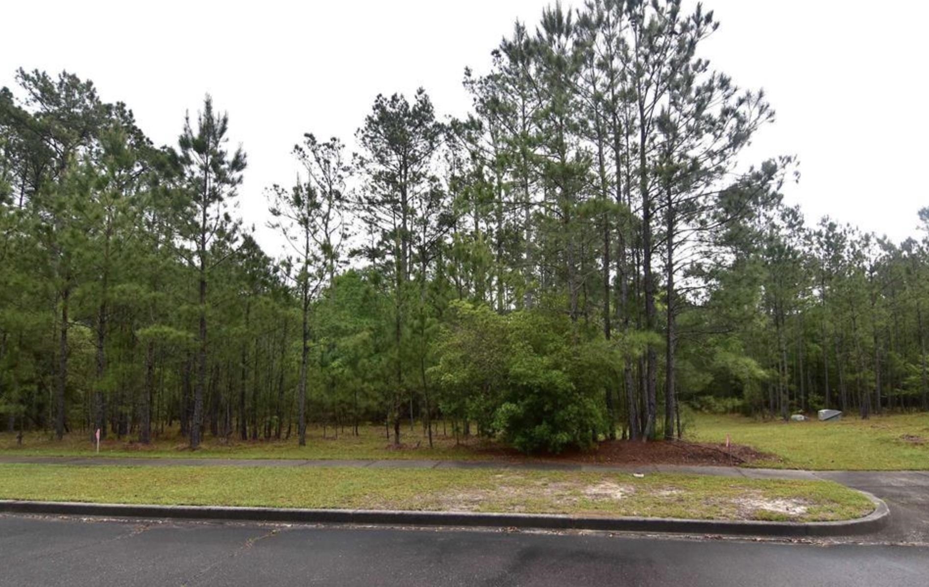 121 Pineberry Dr. Georgetown, SC 29440