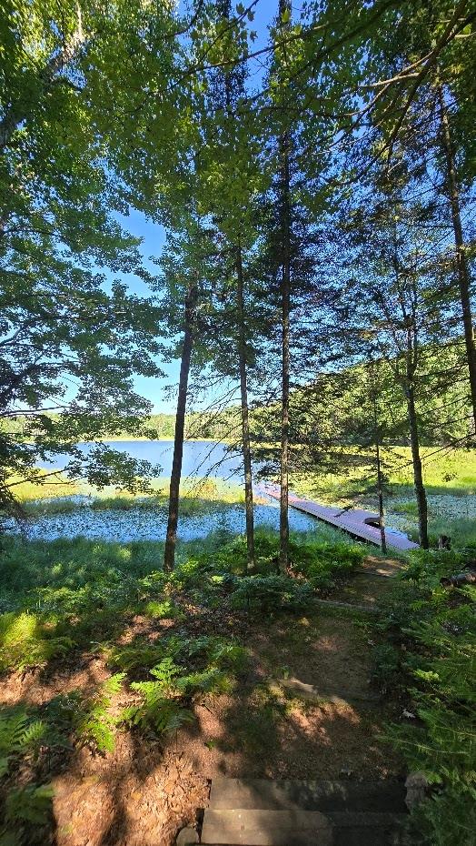 Undocumented Lake Property 5420 Birch Lake Rd Photo 70