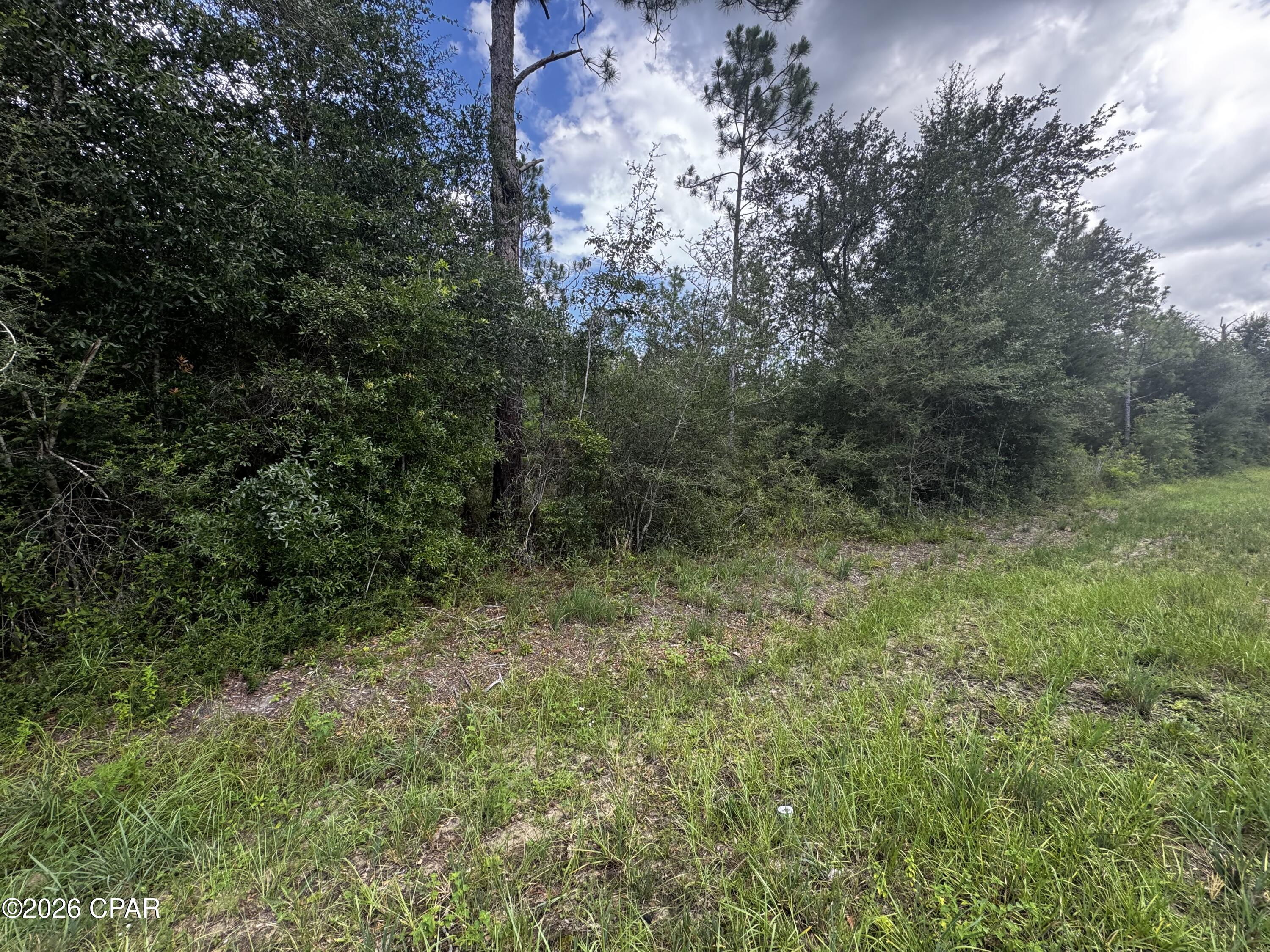 000 NW Lake Mckenzie Boulevard, Altha, FL 32421