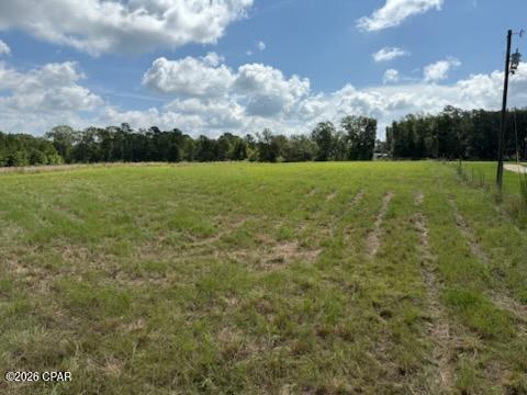 2nd image of 0 Walker Rd, Graceville, FL 32440 | MLS# 792903