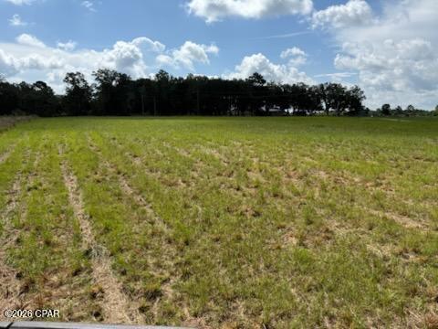 3rd image of 0 Walker Rd, Graceville, FL 32440 | MLS# 792903