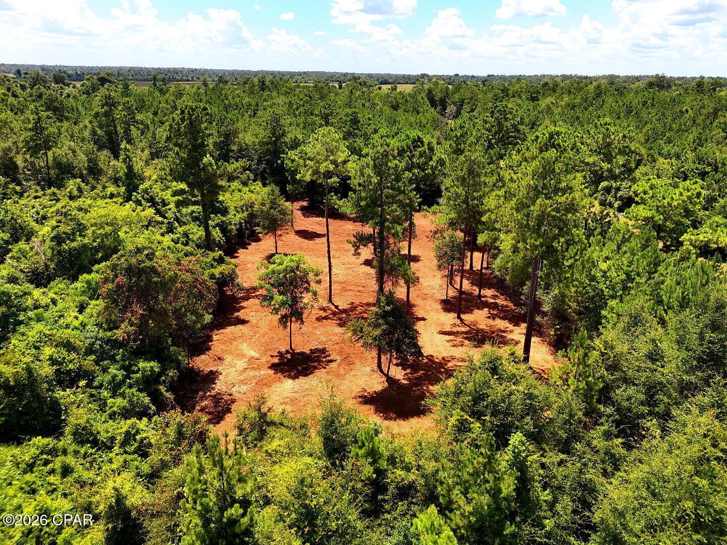 15th image of 0 Reserve Dr, Marianna, FL 32446 | MLS# 792952