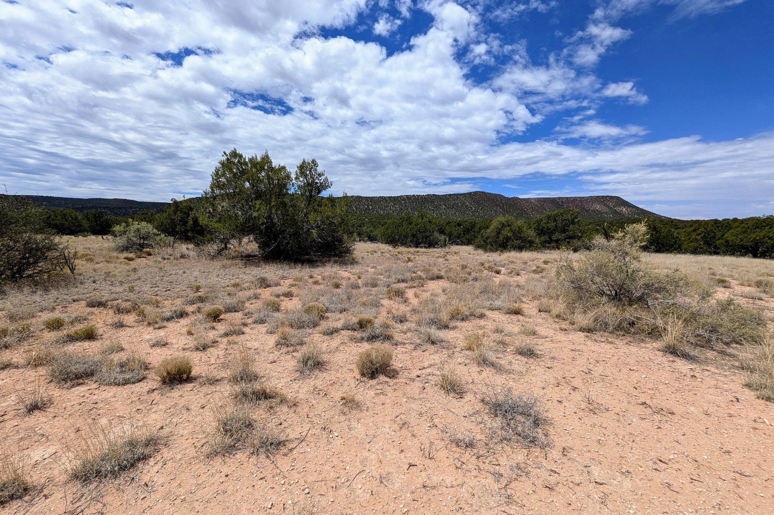 Photo 1 of Sale Pending at 2384 Jumano Trl, Mountainair, NM 87036 | MLS# 1107673 | Listing updated on 2026-10-08