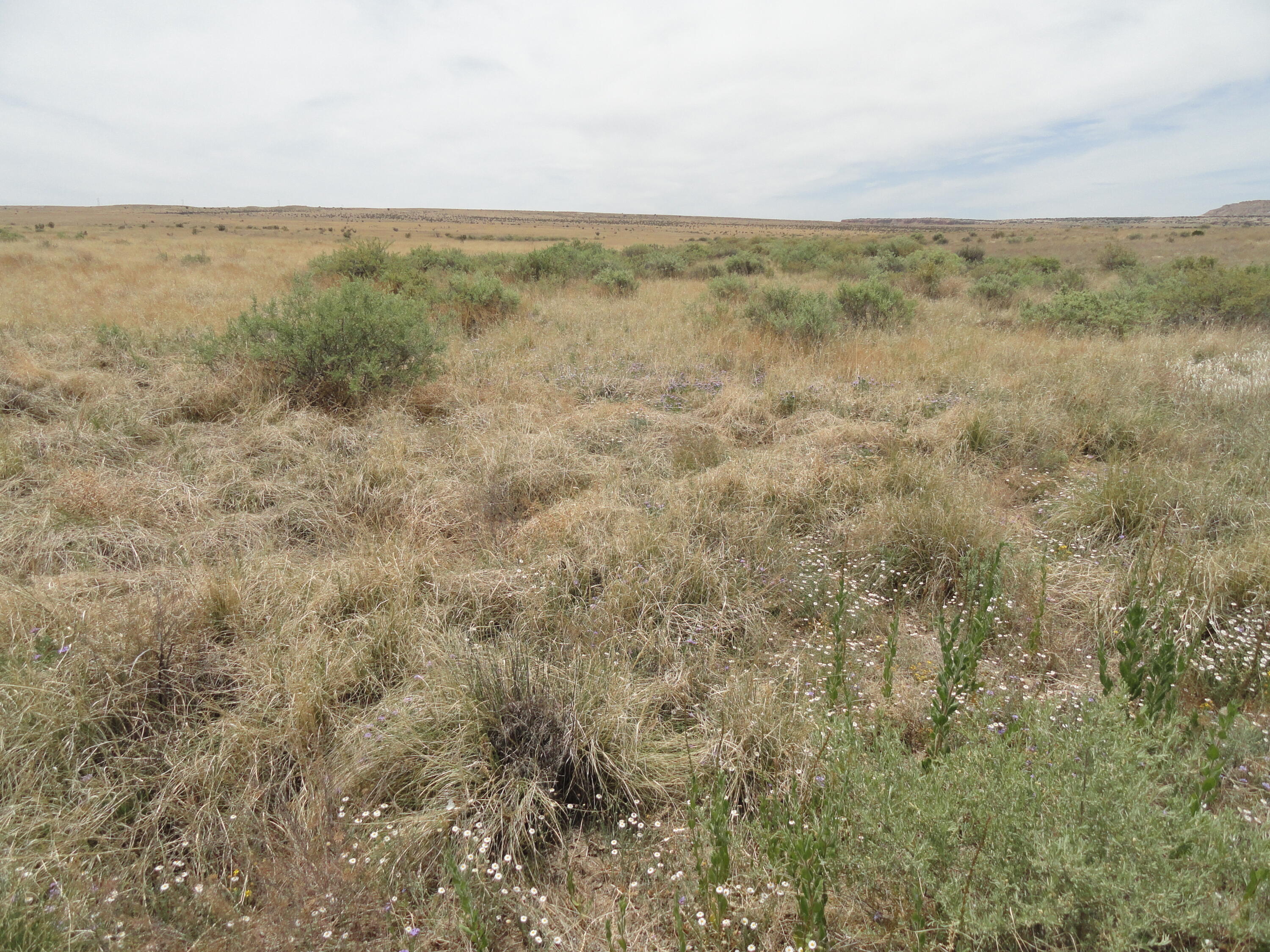Photo 2 of Land for sale at Canyon Rd, Laguna, NM 87026 | MLS# 1107691 | Listing updated on 2026-10-07